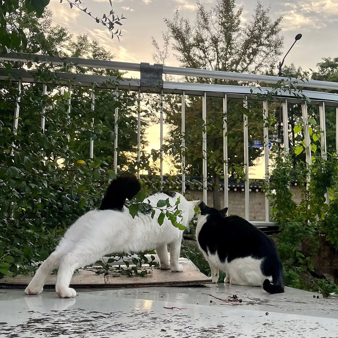 IMG%EF%BC%BF1582.jpg?type=w1600