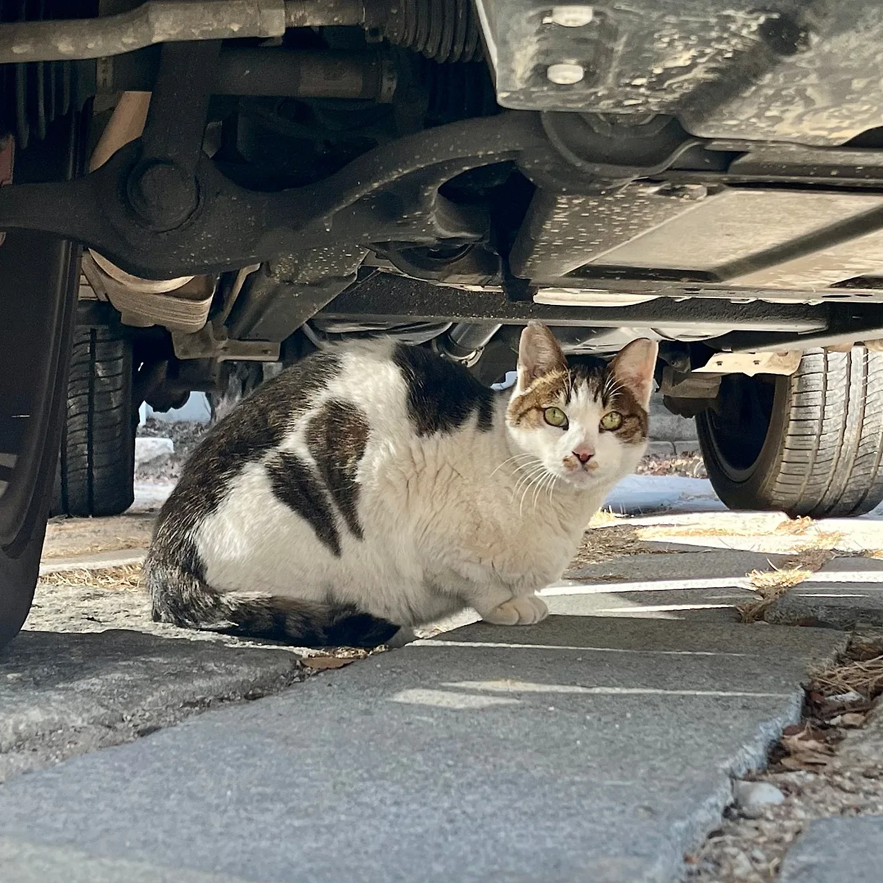 IMG%EF%BC%BF1148.jpg?type=w1600