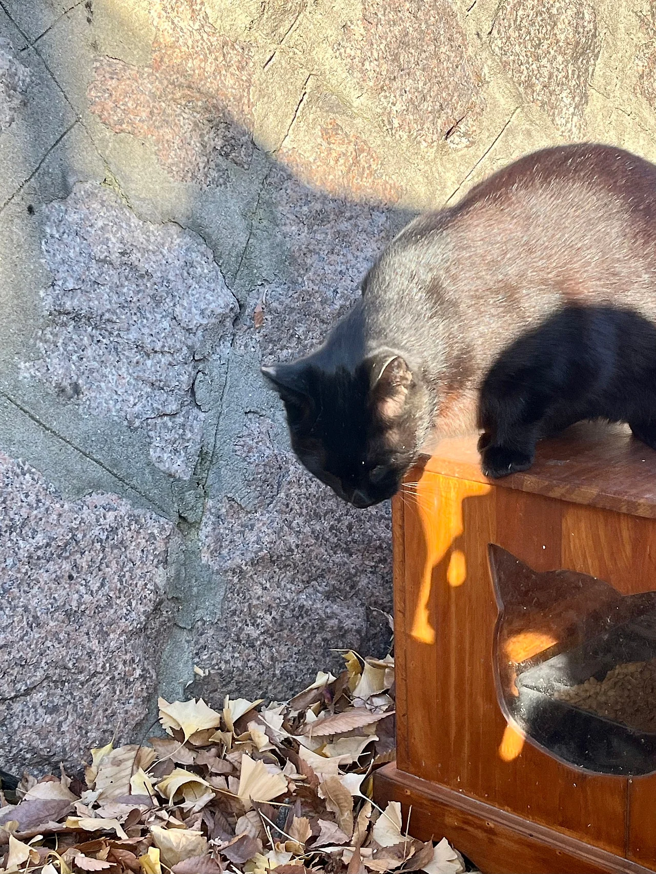 IMG%EF%BC%BF8761.jpg?type=w1600