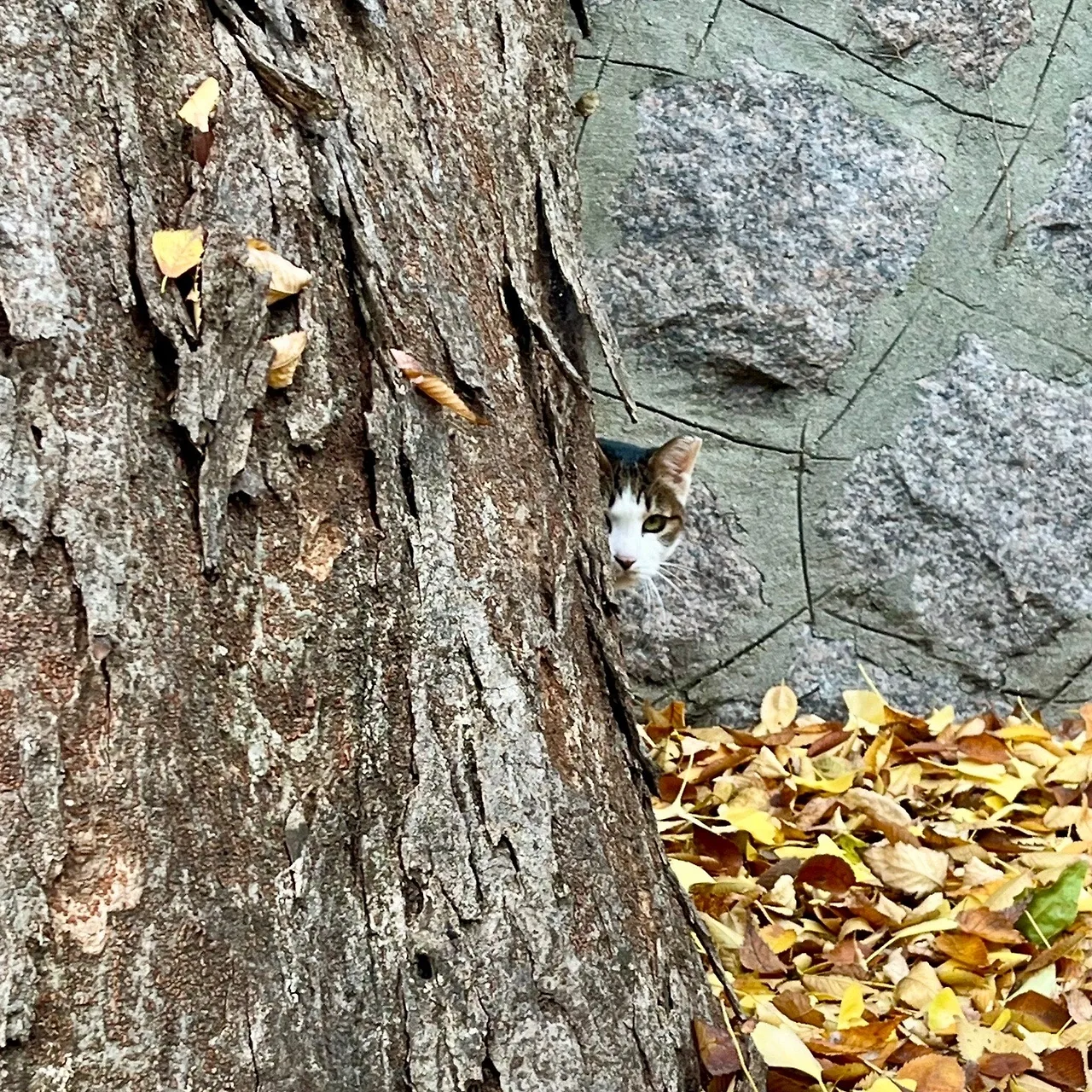 output%EF%BC%BF774328609.jpg?type=w1600