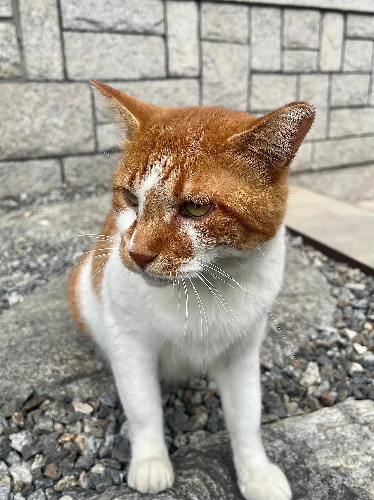 IMG%EF%BC%BF0695.jpg?type=w1600