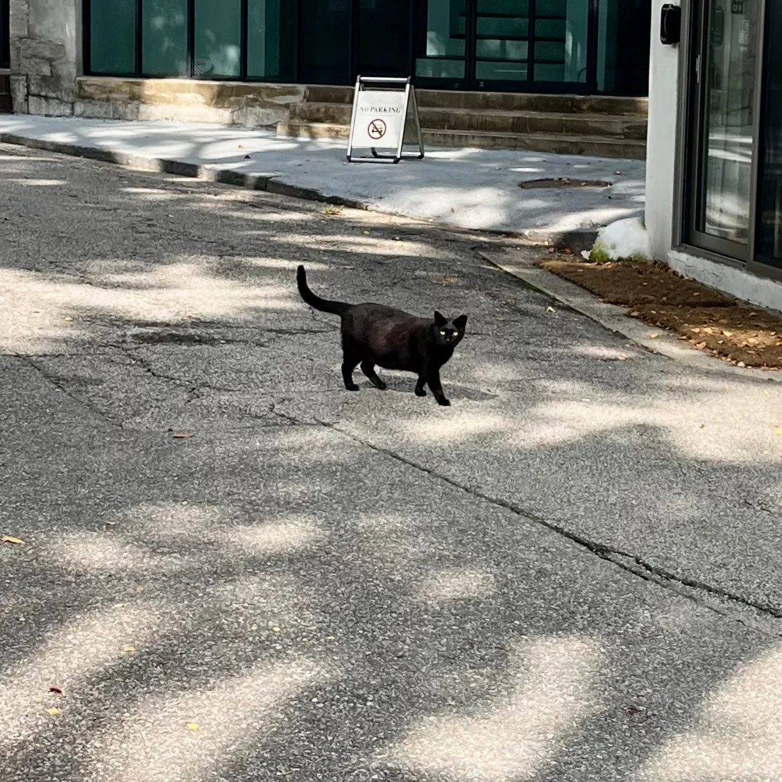 SE-E48E84F3-7ADD-47F2-A32D-AFDBCA2B7CA7.jpg?type=w1600