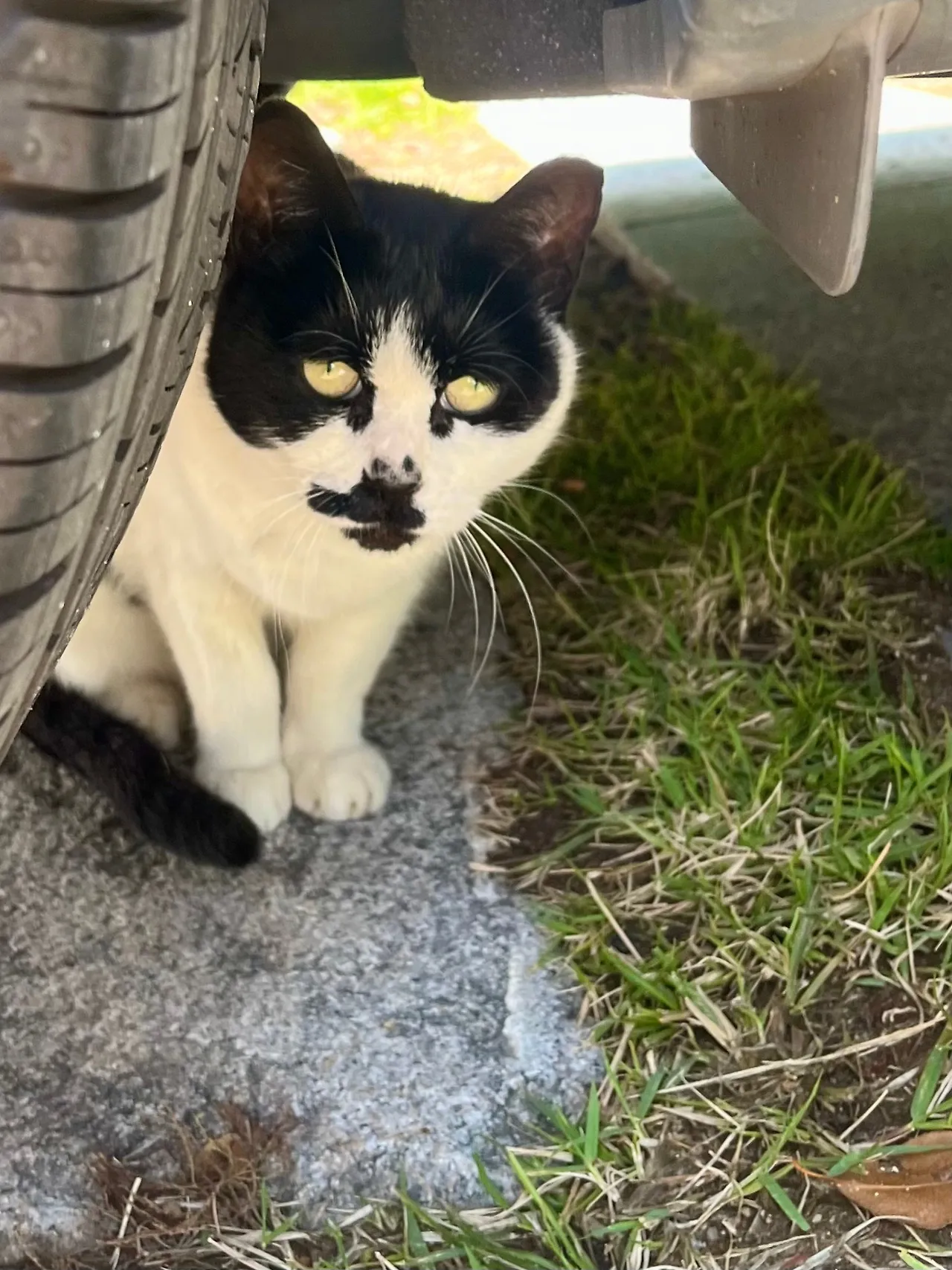 IMG%EF%BC%BF3418.jpg?type=w1600