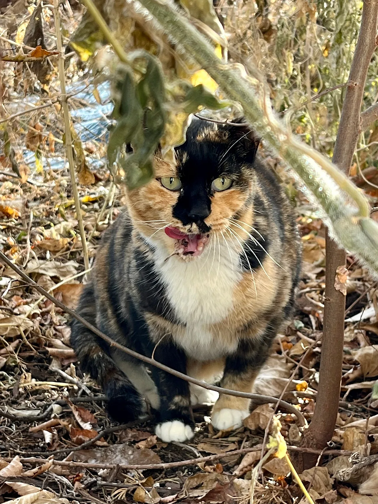 IMG%EF%BC%BF9172.jpg?type=w1600