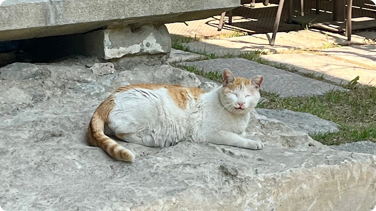 IMG_3821.jpg?type=w1600