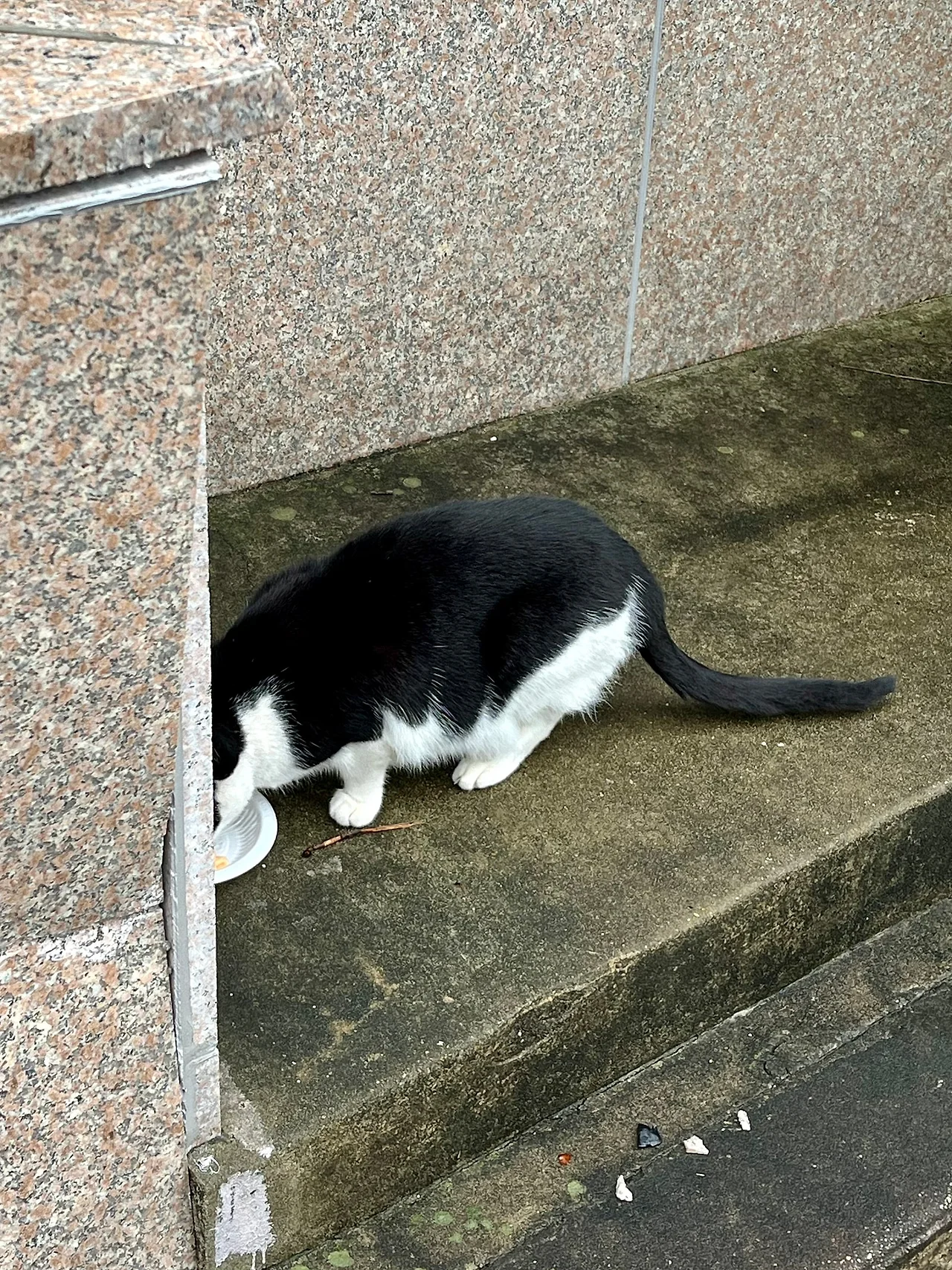 IMG%EF%BC%BF3130.jpg?type=w1600