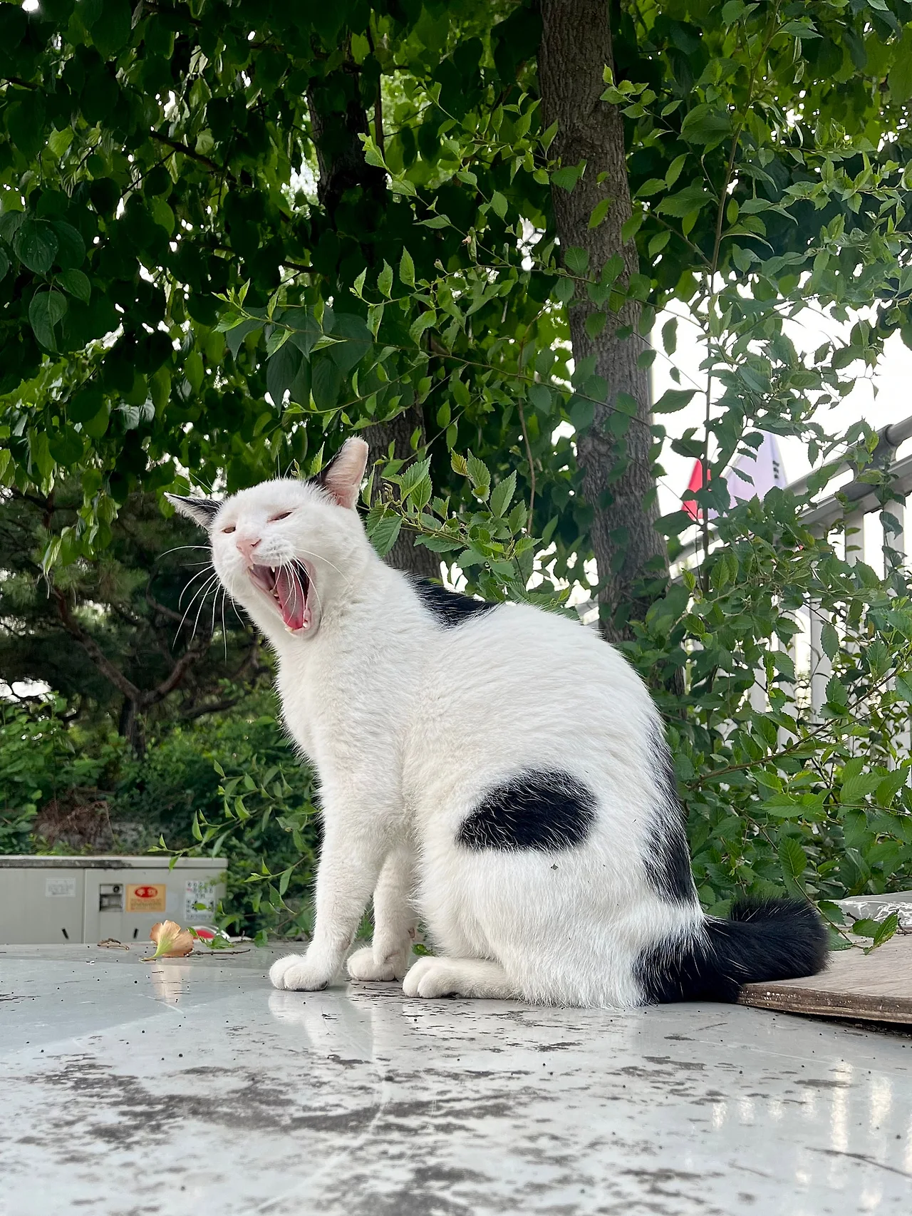 IMG%EF%BC%BF9948.jpg?type=w1600