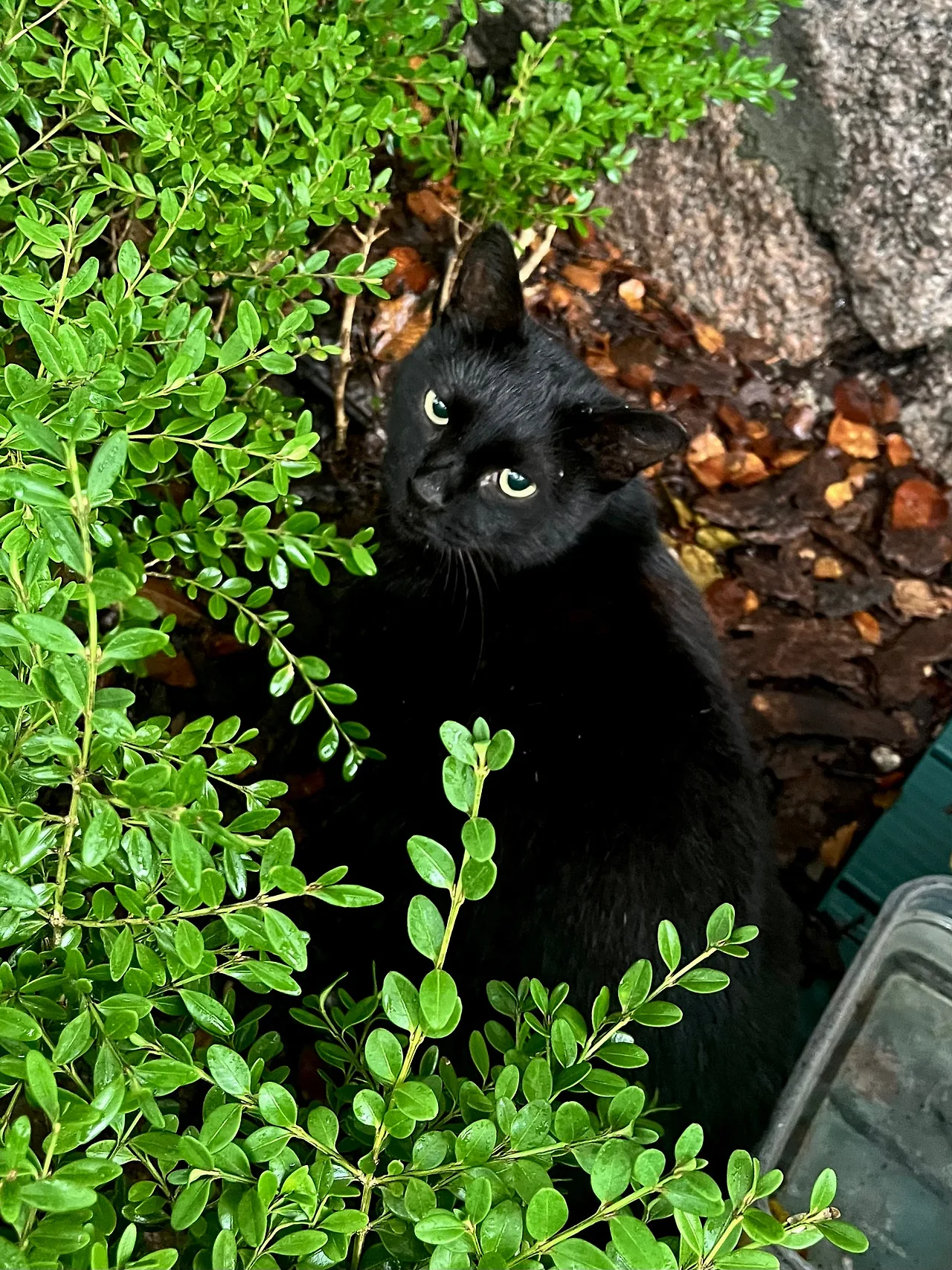 IMG%EF%BC%BF2048.jpg?type=w1600