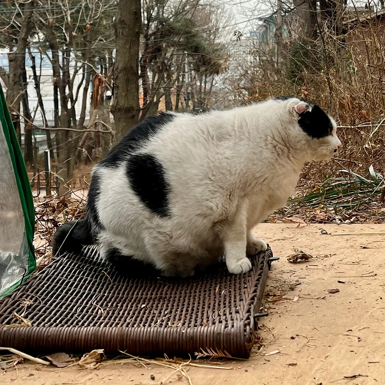 IMG%EF%BC%BF1235.jpg?type=w1600