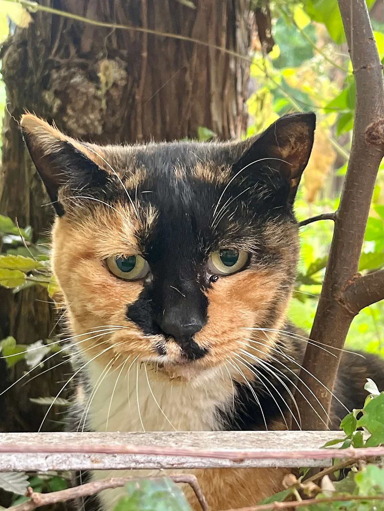 IMG%EF%BC%BF4270.jpg?type=w1600