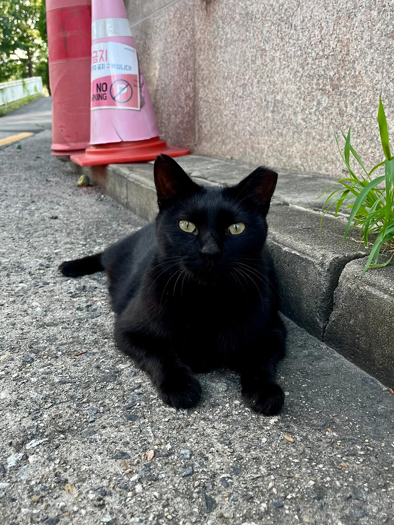 IMG%EF%BC%BF0067.jpg?type=w1600