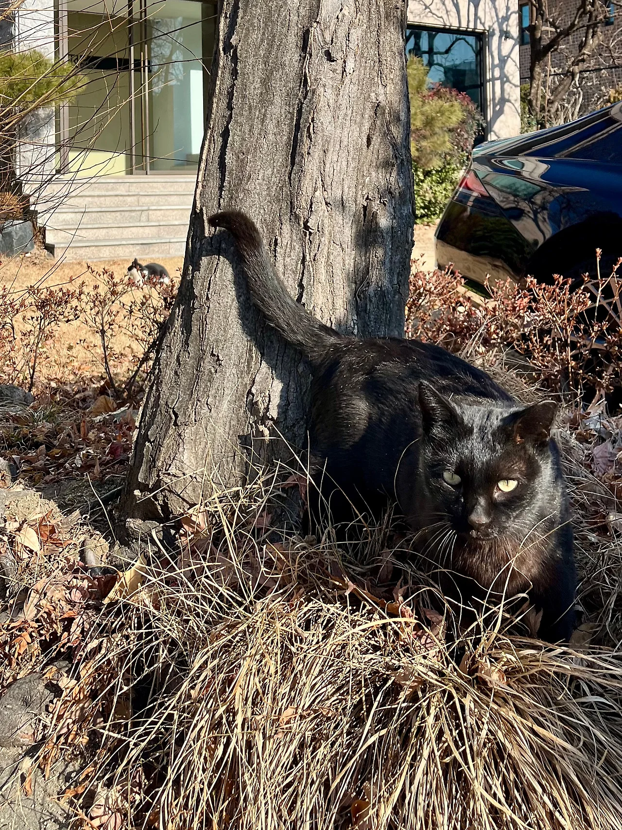 IMG%EF%BC%BF0743.jpg?type=w1600