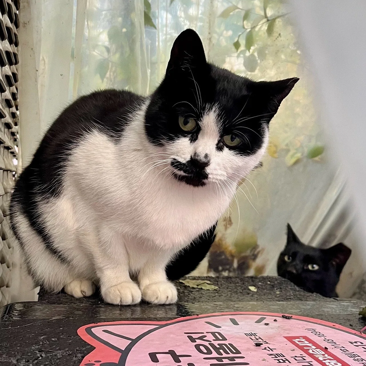 output%EF%BC%BF2753289474.jpg?type=w1600