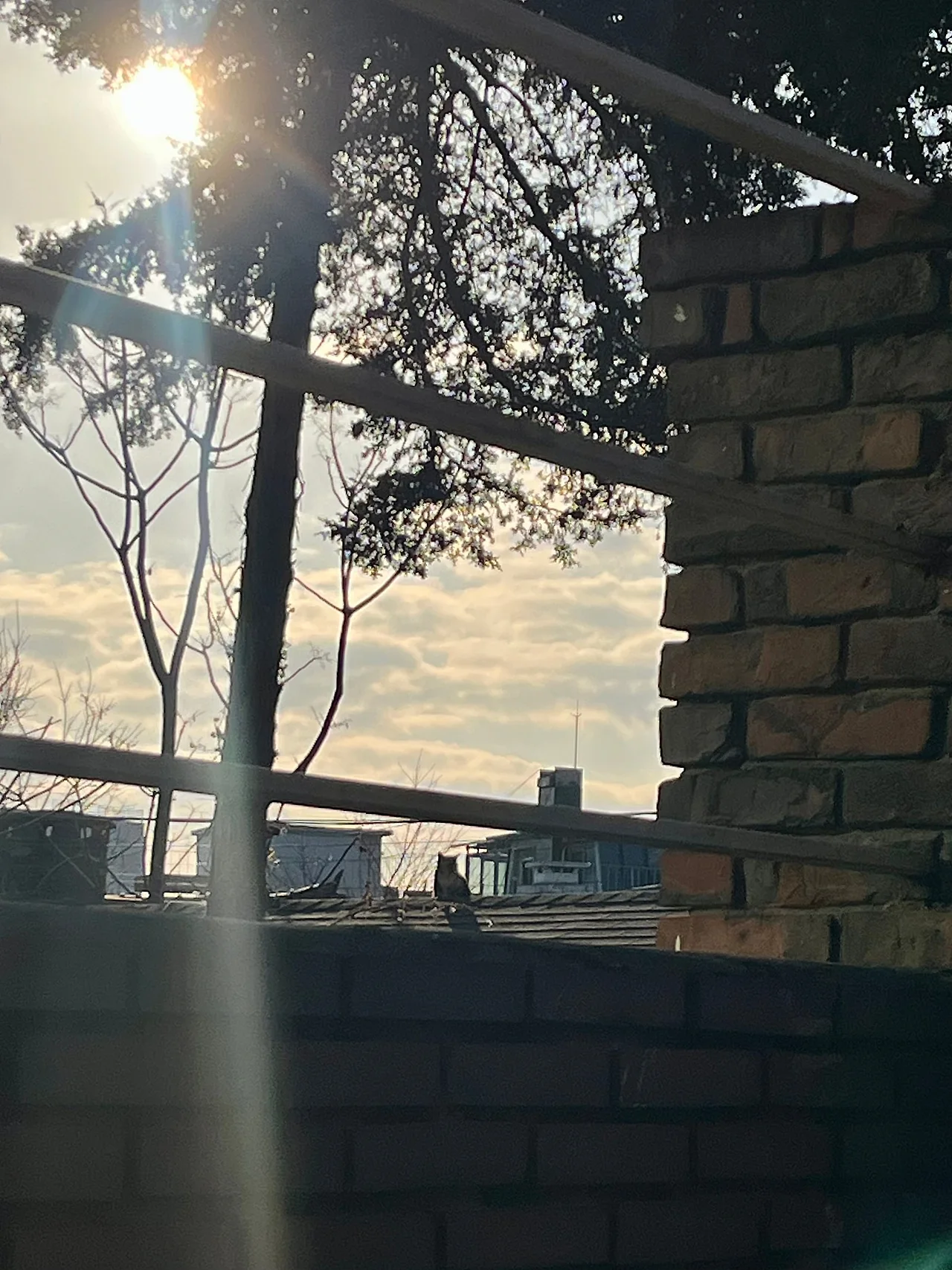 IMG%EF%BC%BF1169.jpg?type=w1600