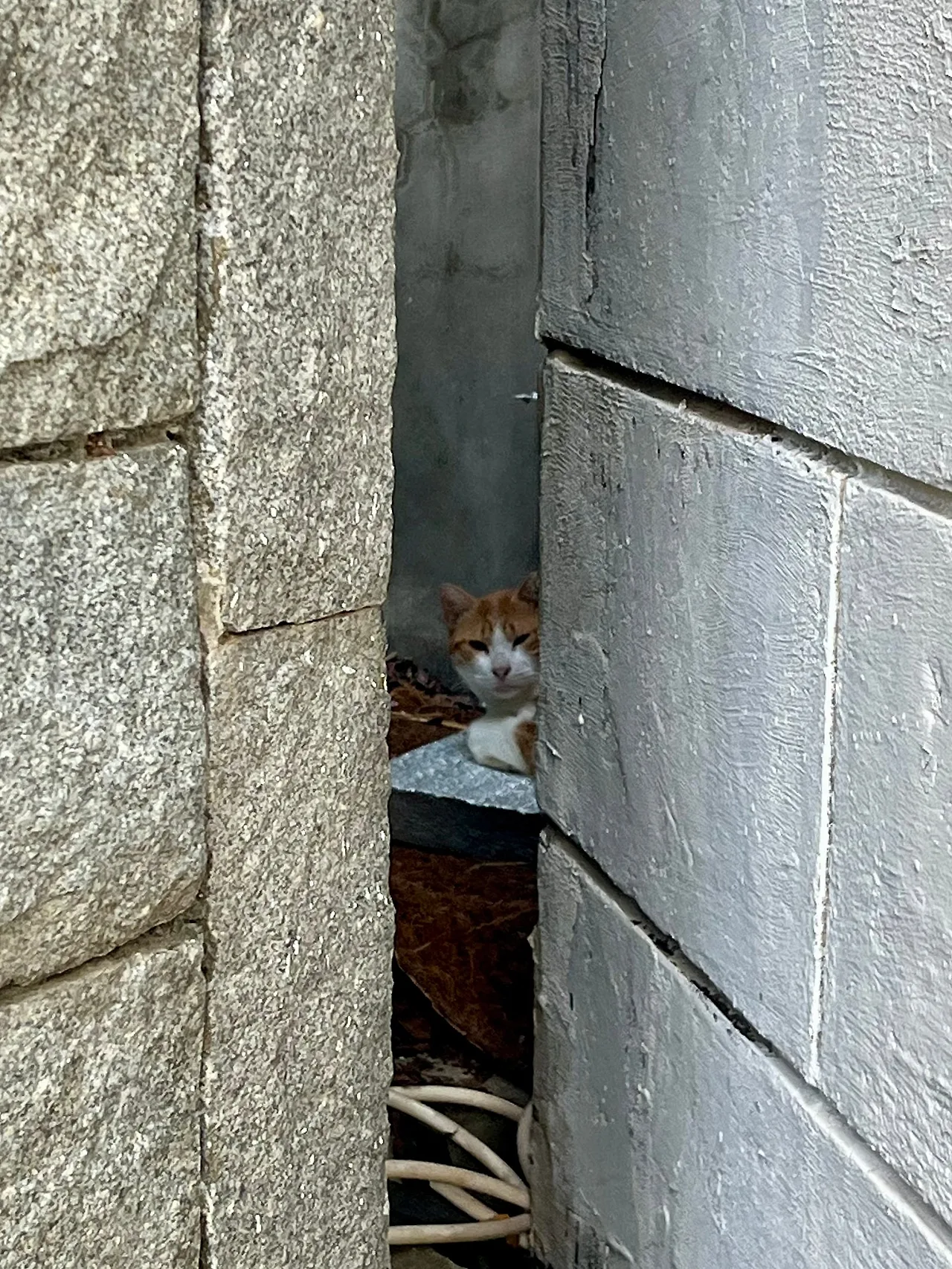 IMG%EF%BC%BF3423.jpg?type=w1600