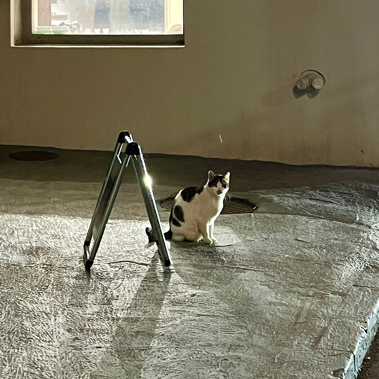 IMG%EF%BC%BF9249.jpg?type=w1600