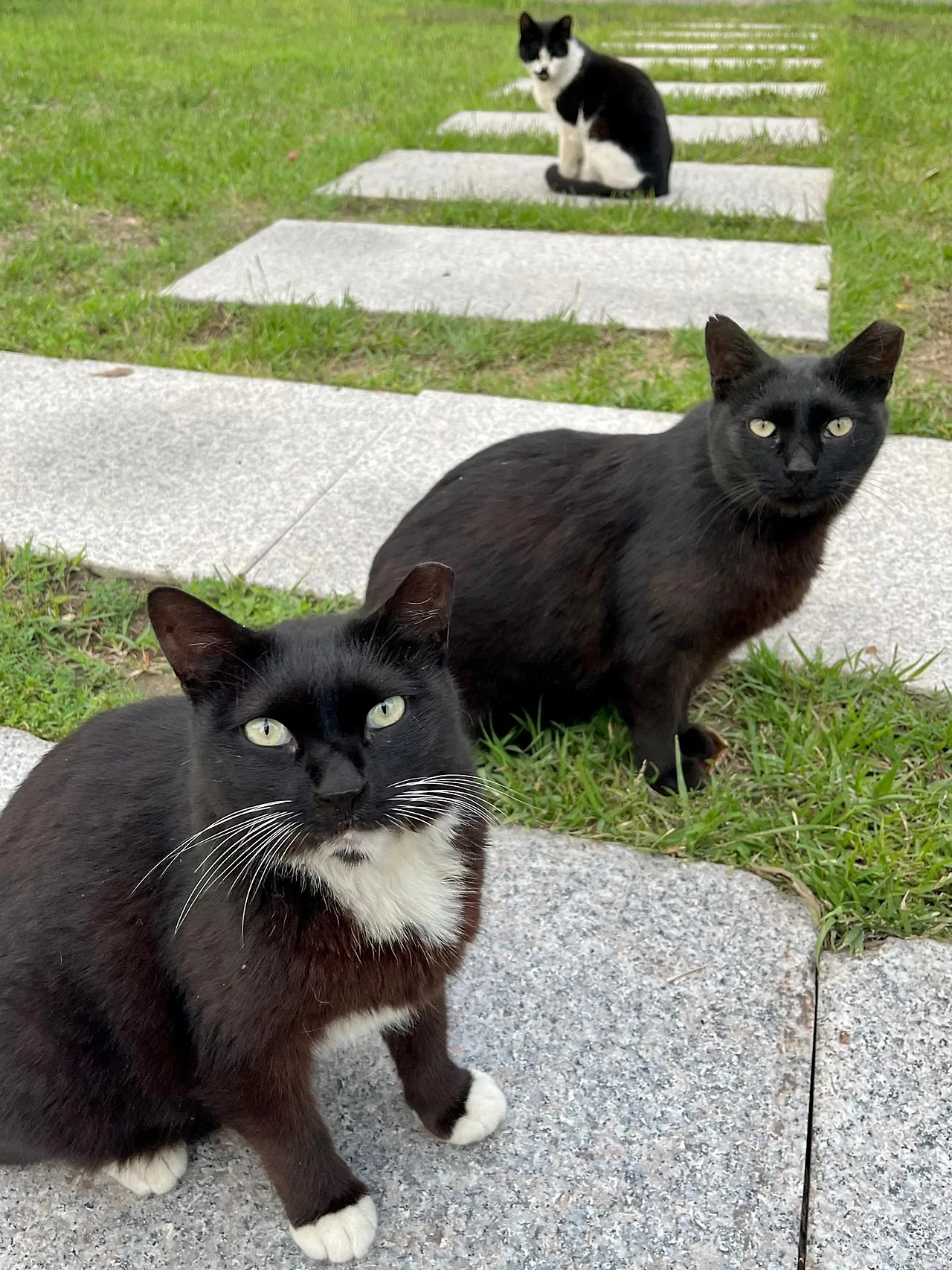 SE-A371111A-AEC5-4AB7-8119-5B0B5CA3F120.jpg?type=w1600