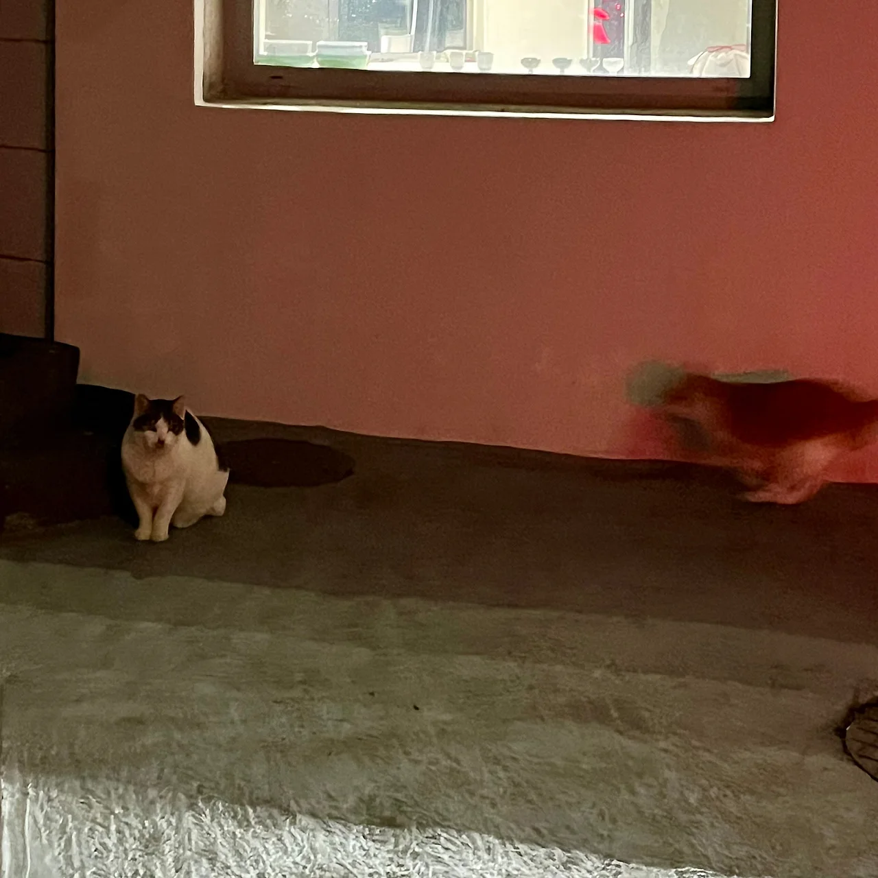 IMG%EF%BC%BF9252.jpg?type=w1600