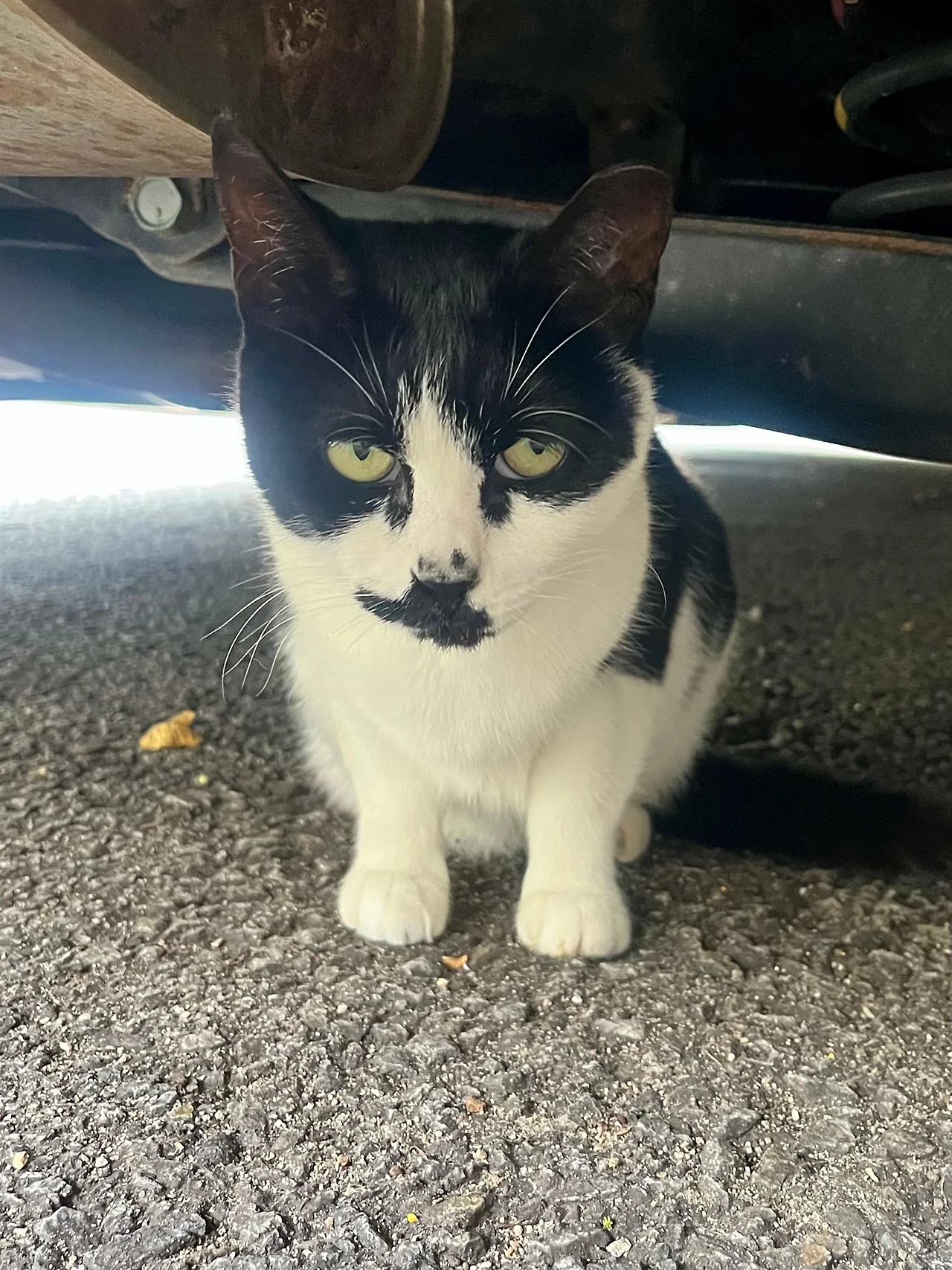 IMG%EF%BC%BF1973.jpg?type=w1600