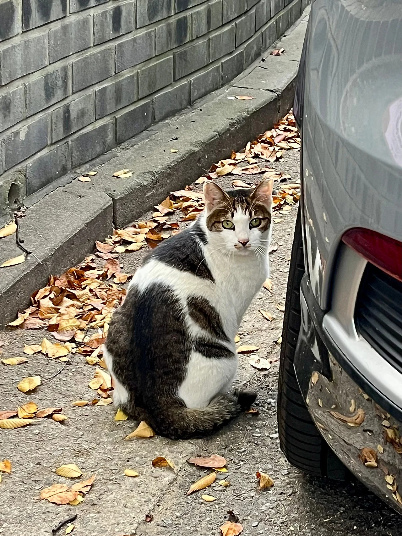 IMG%EF%BC%BF4394.jpg?type=w1600