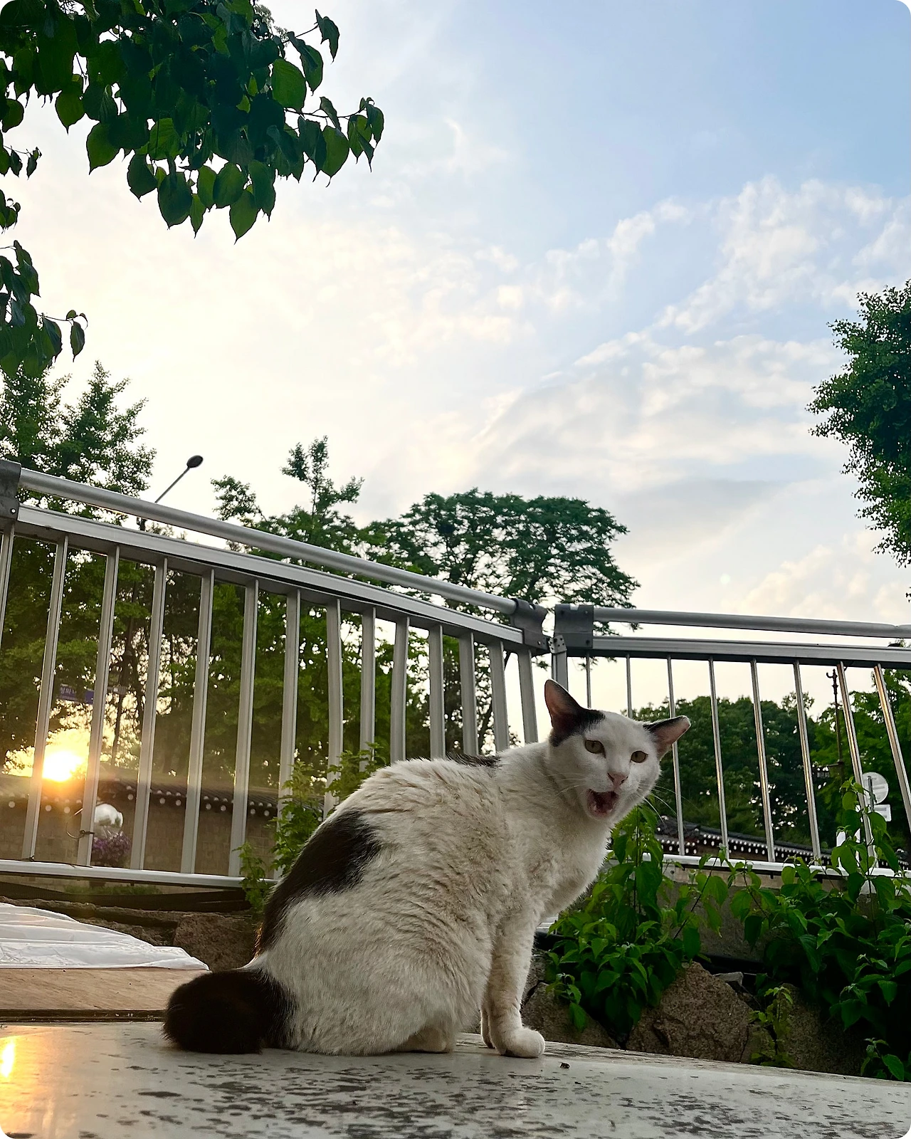 IMG_4583.jpg?type=w1600