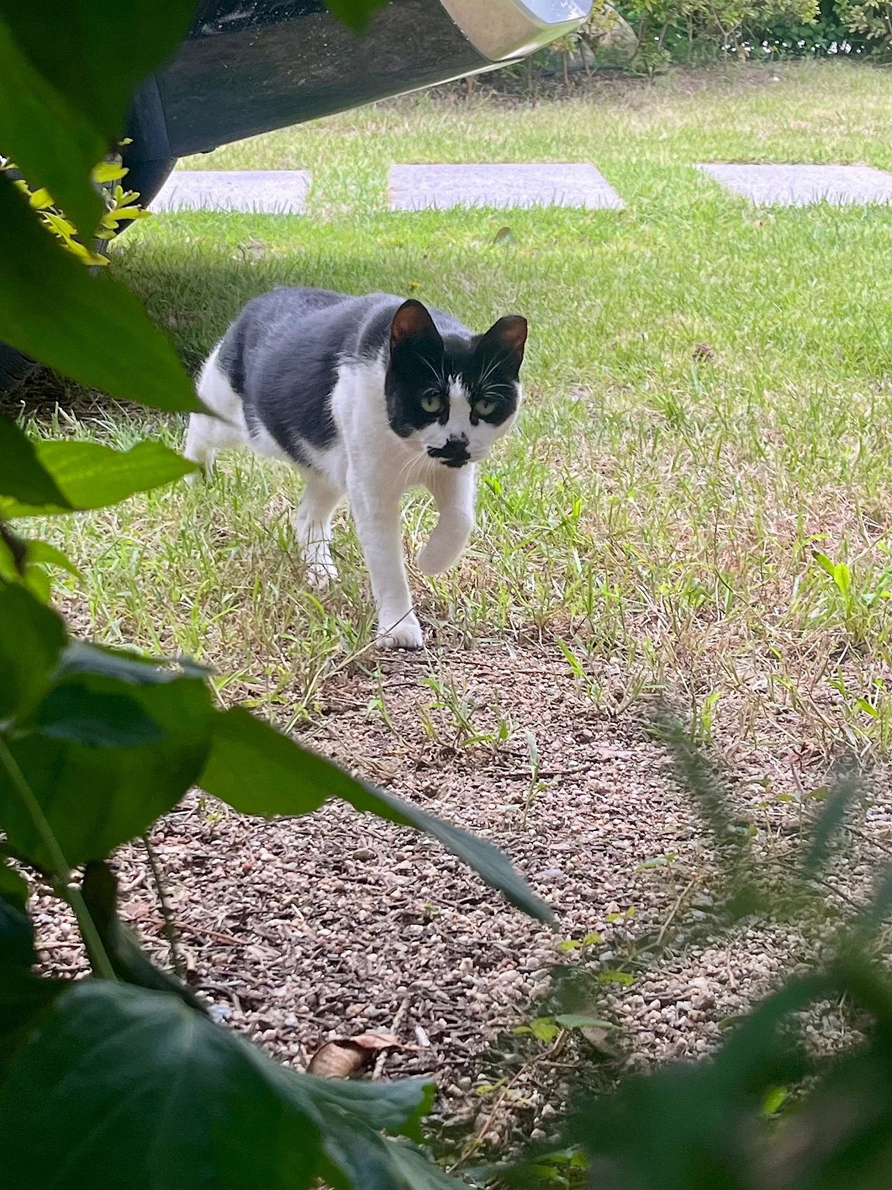 IMG%EF%BC%BF2001.jpg?type=w1600