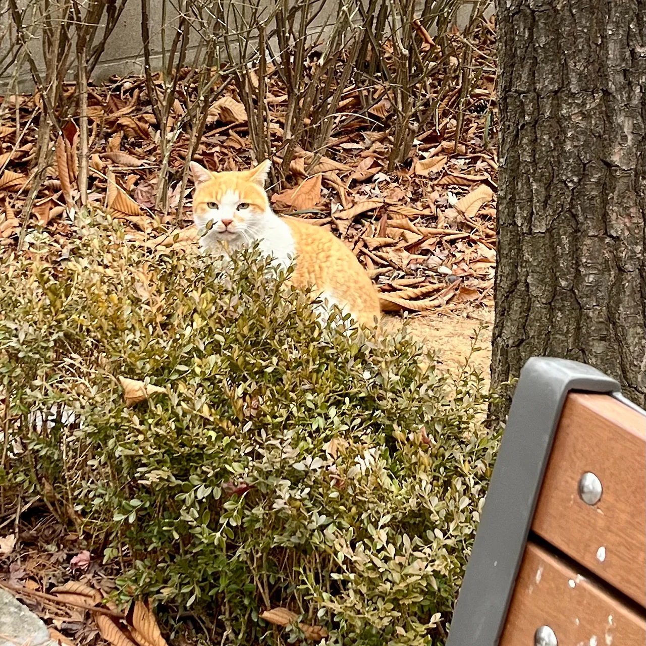 SE-AFCDFC5B-C184-4653-A5BC-0643D28ADC53.jpg?type=w1600