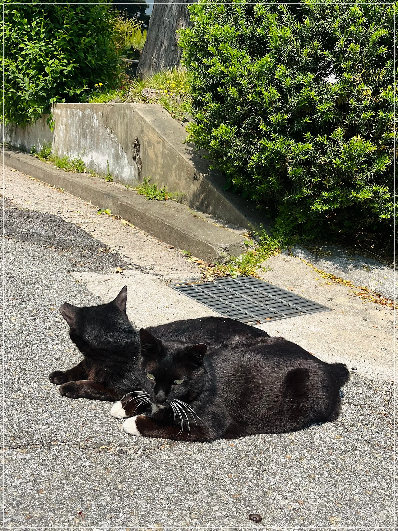 IMG_3592.jpg?type=w1600