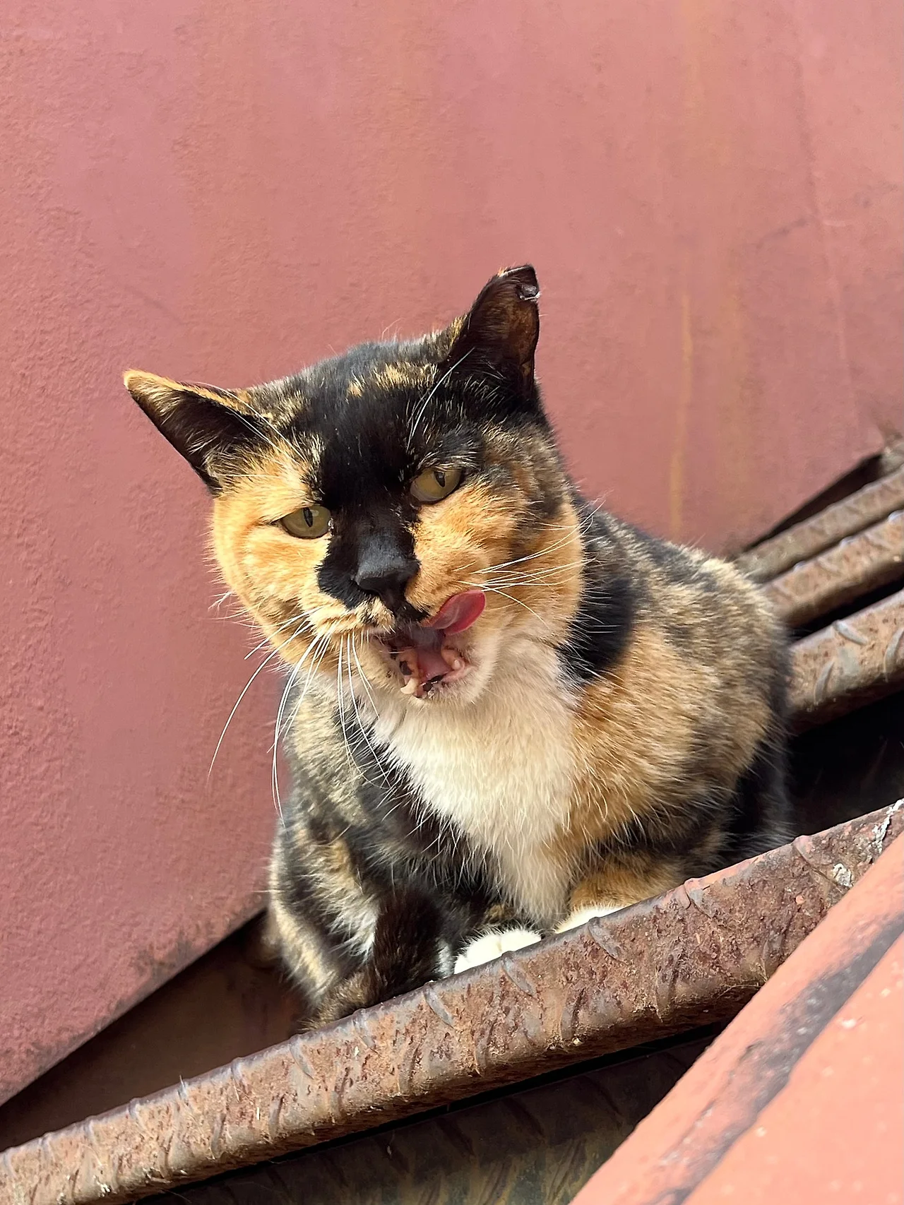 IMG%EF%BC%BF9435.jpg?type=w1600