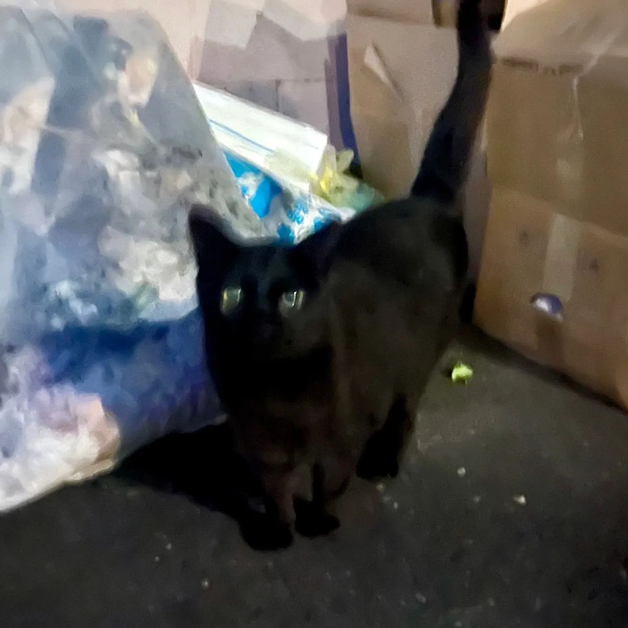 IMG%EF%BC%BF1741.jpg?type=w1600