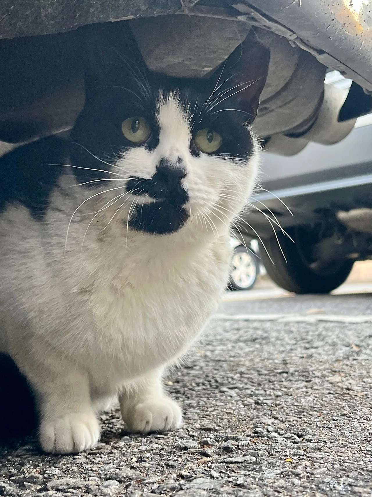 IMG%EF%BC%BF9145.jpg?type=w1600