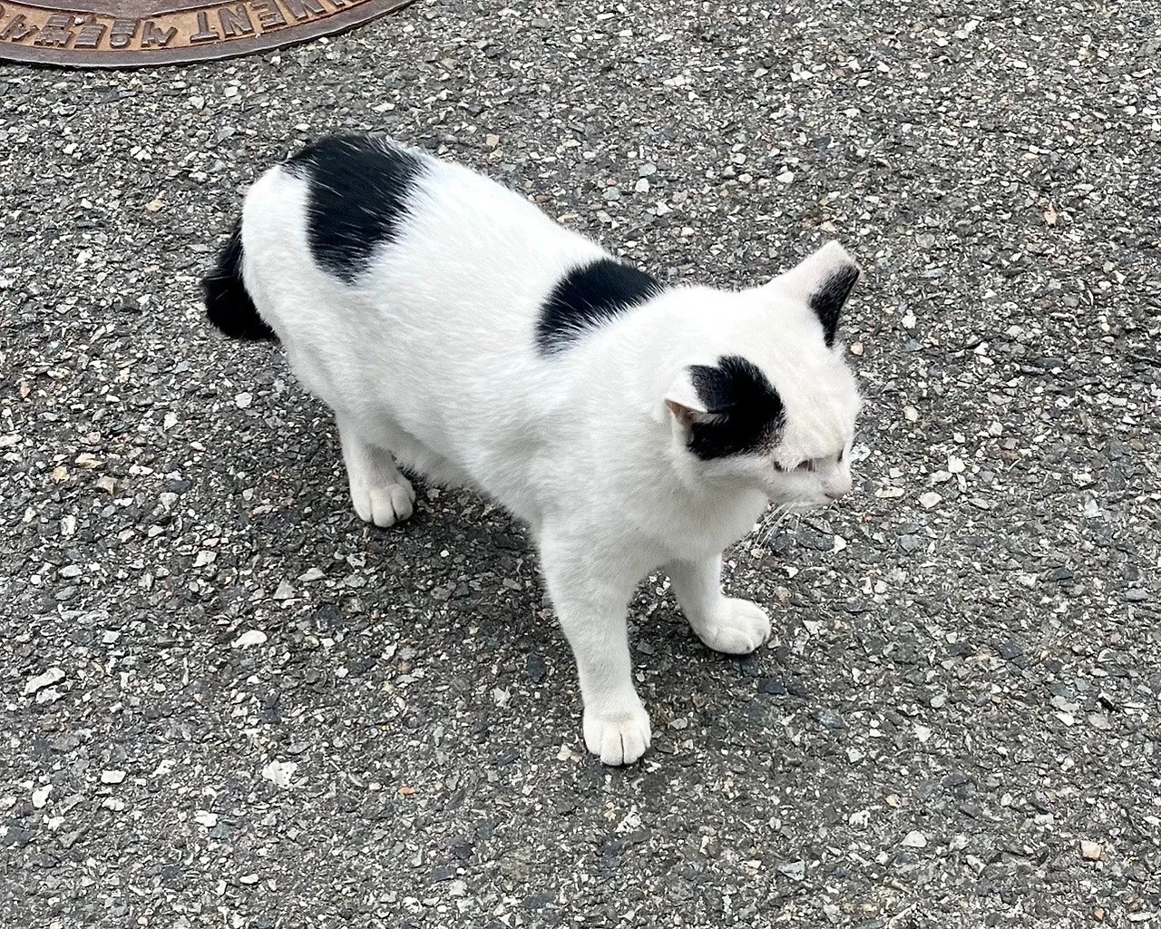 output%EF%BC%BF3867570524.jpg?type=w1600