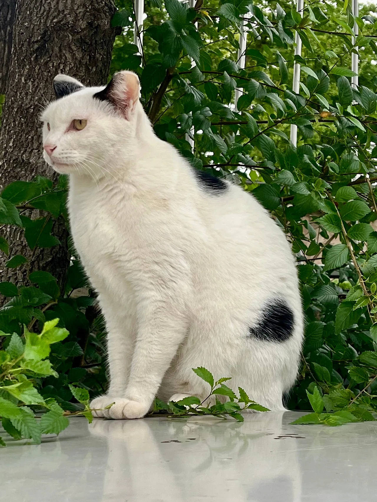 IMG%EF%BC%BF1774.jpg?type=w1600