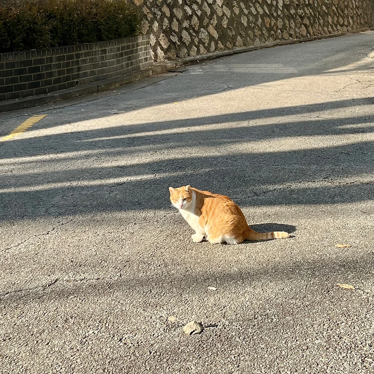 IMG%EF%BC%BF8957.jpg?type=w1600