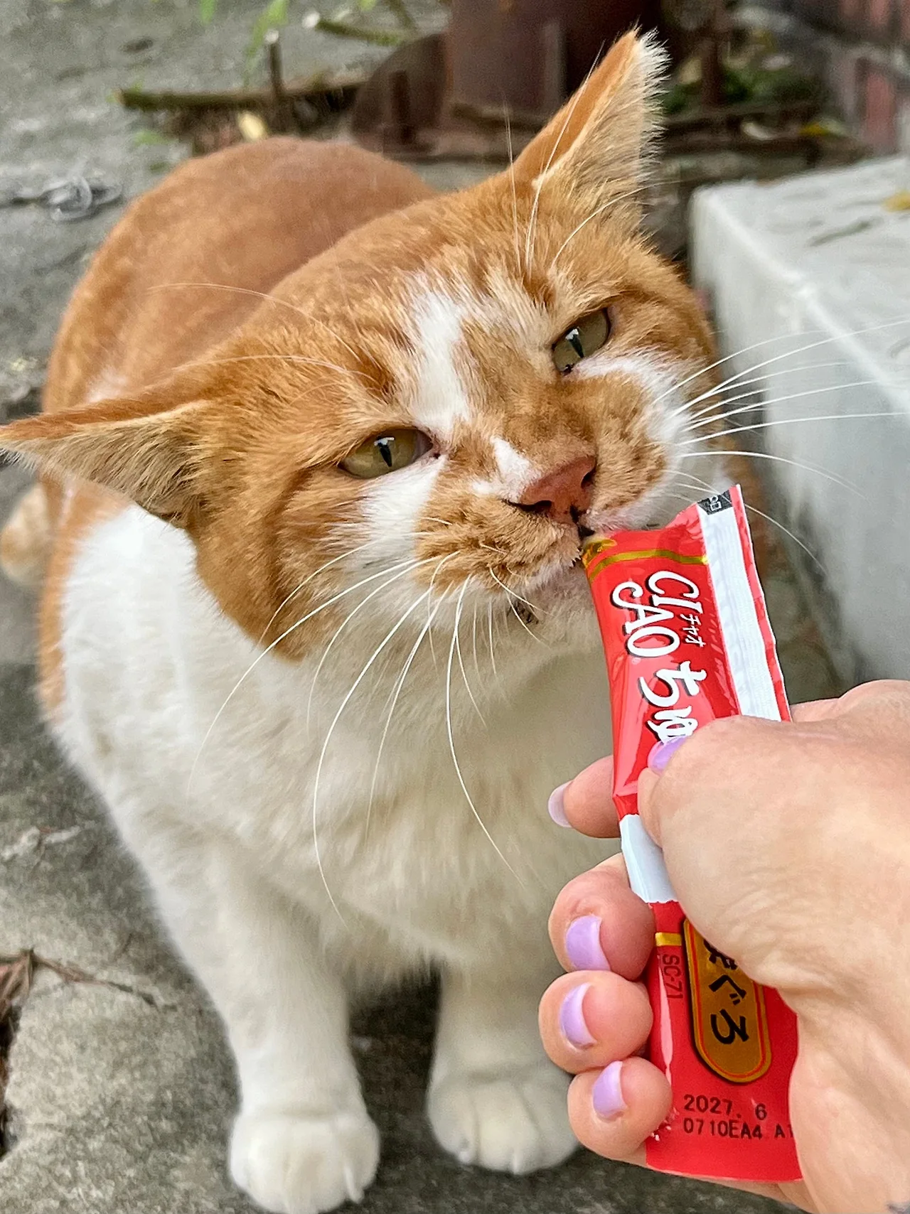 IMG%EF%BC%BF5038.jpg?type=w1600