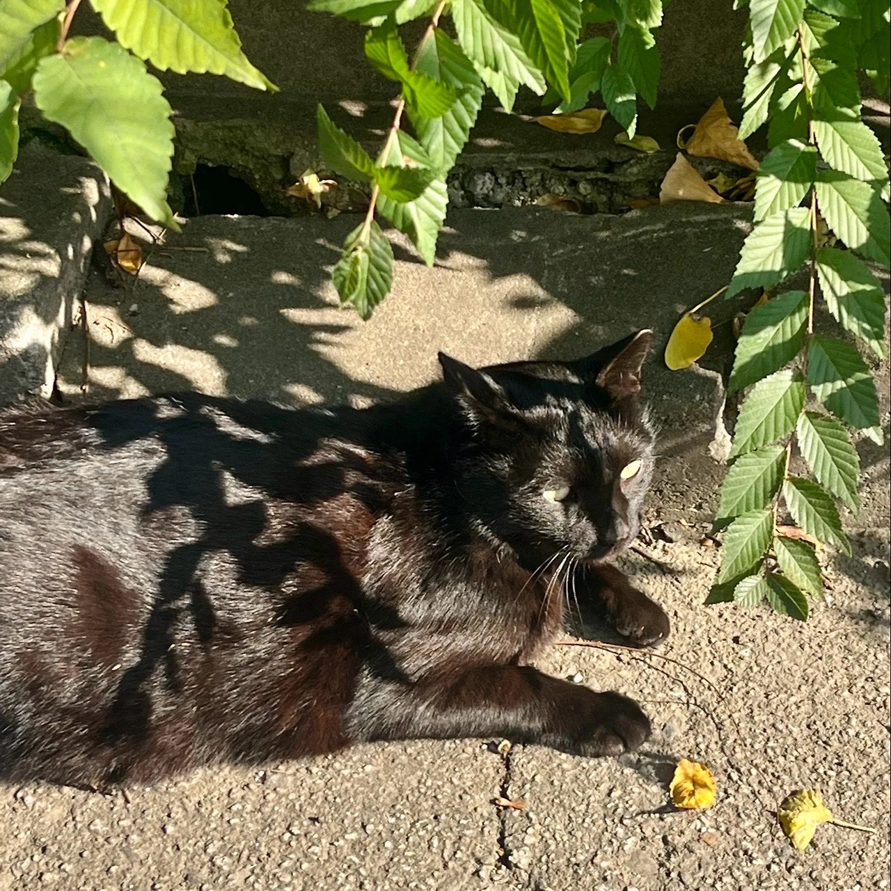 output%EF%BC%BF840166427.jpg?type=w1600