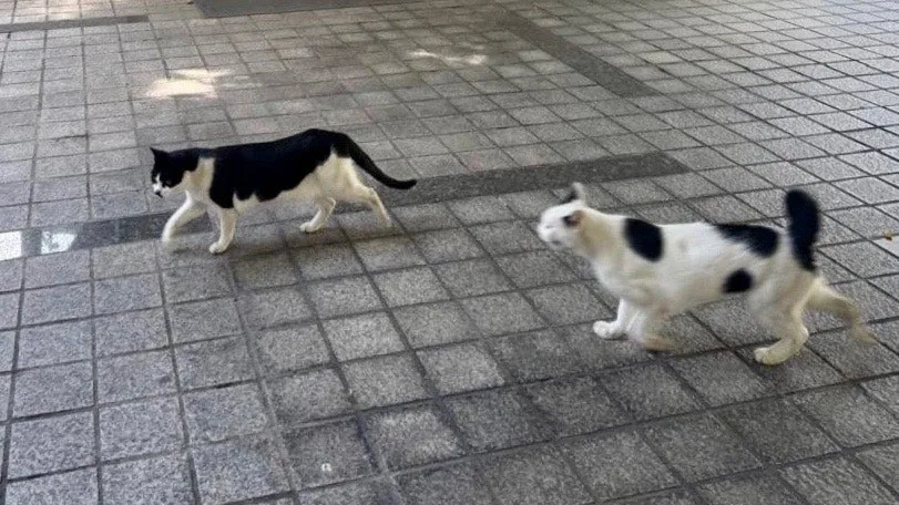 output%EF%BC%BF3061918249.jpg?type=w1600