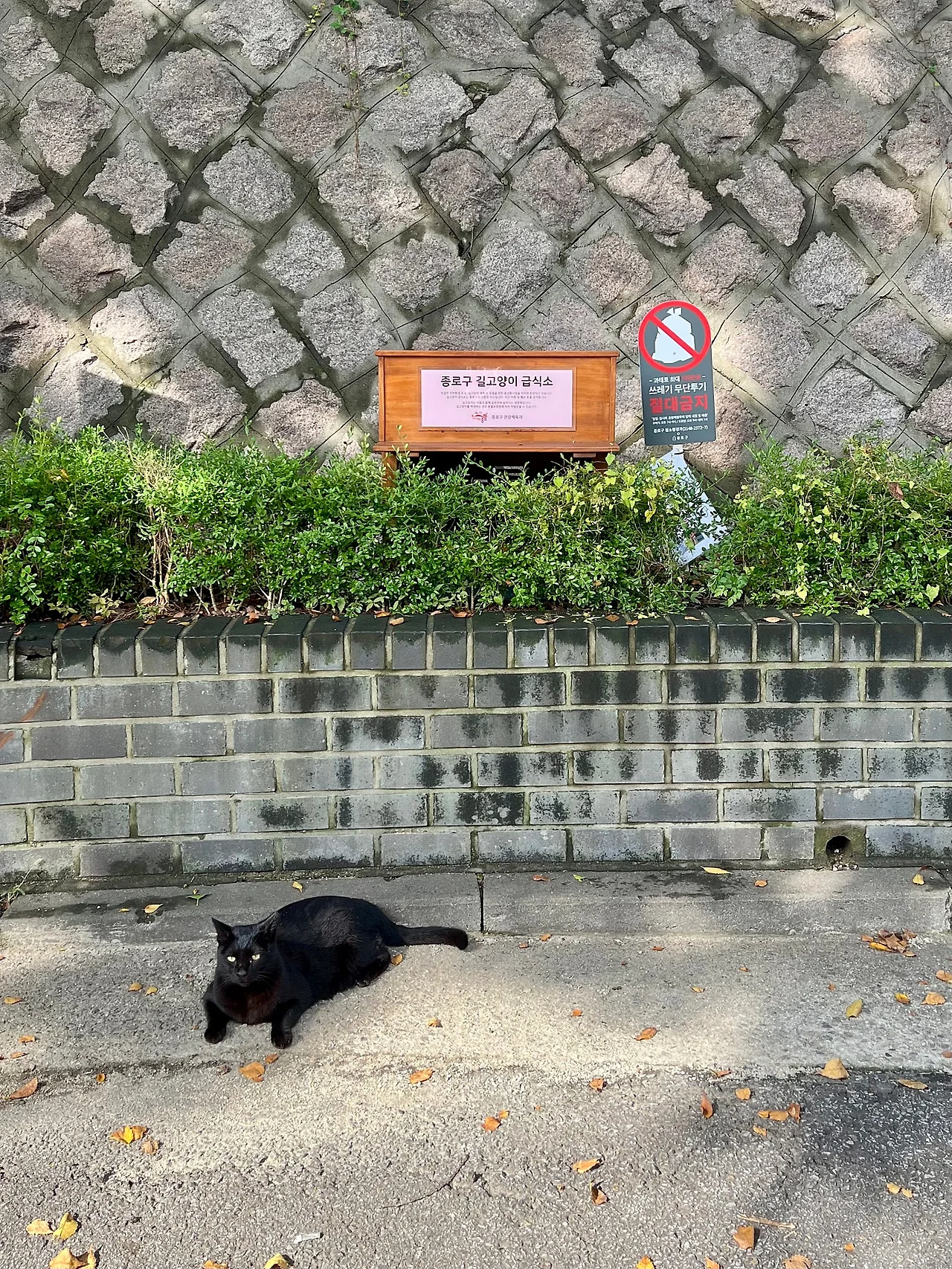 IMG%EF%BC%BF2281.jpg?type=w1600