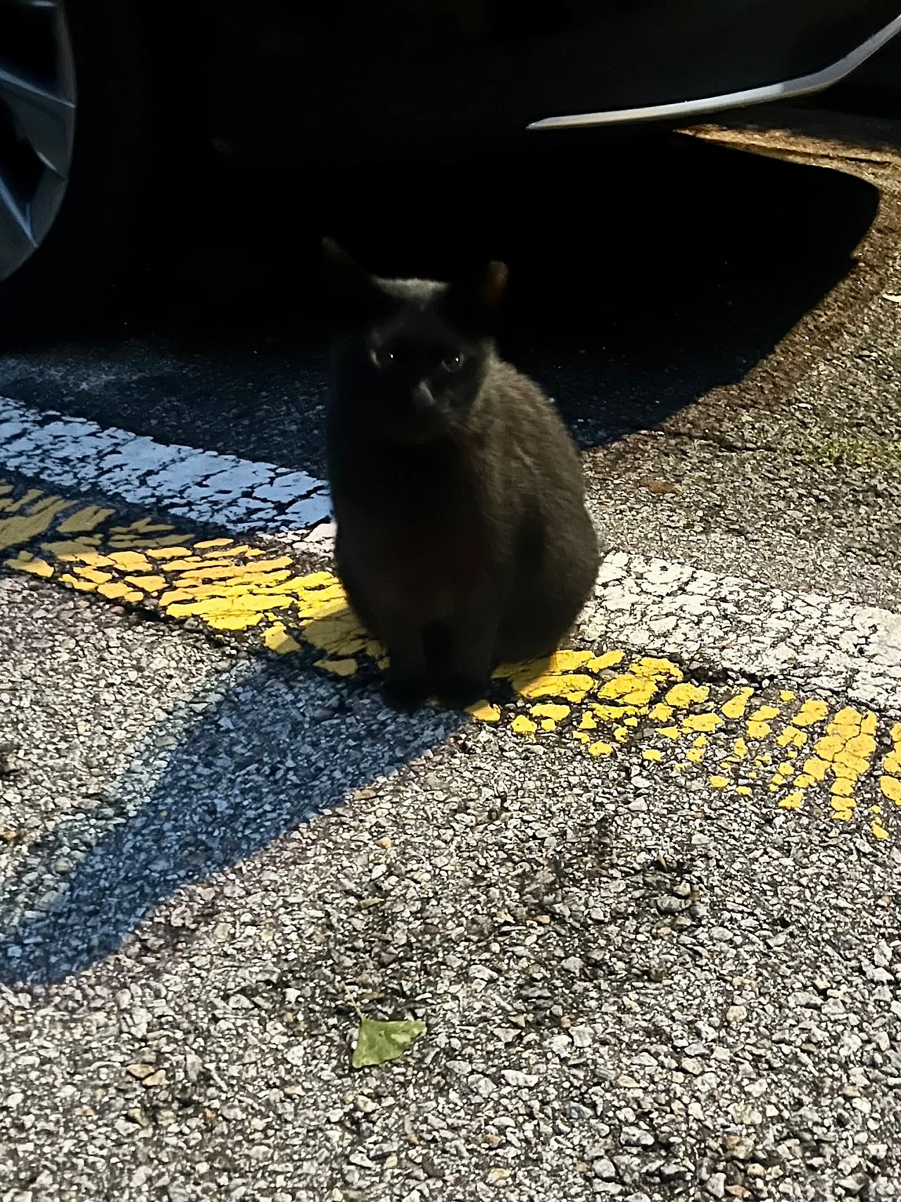 IMG%EF%BC%BF1688.jpg?type=w1600