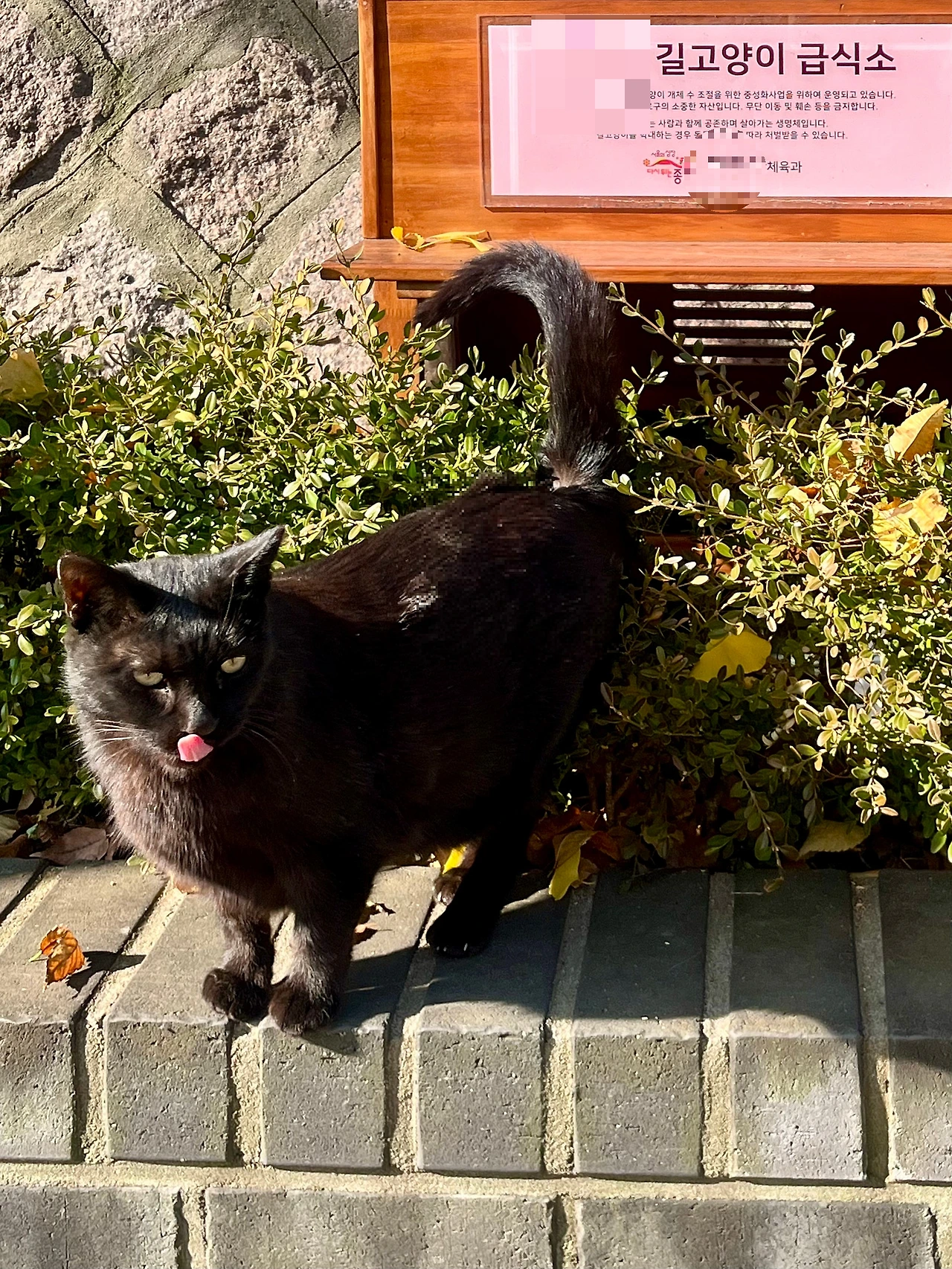 IMG%EF%BC%BF4951.jpg?type=w1600