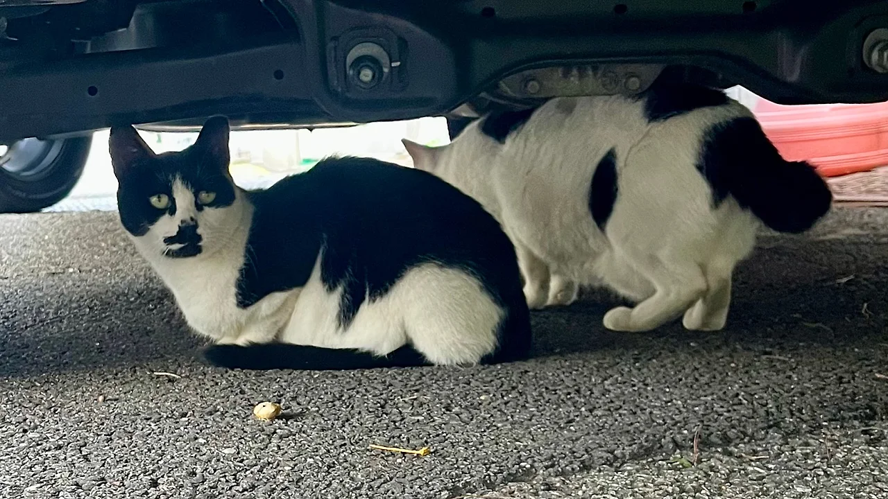 IMG%EF%BC%BF1900.jpg?type=w1600