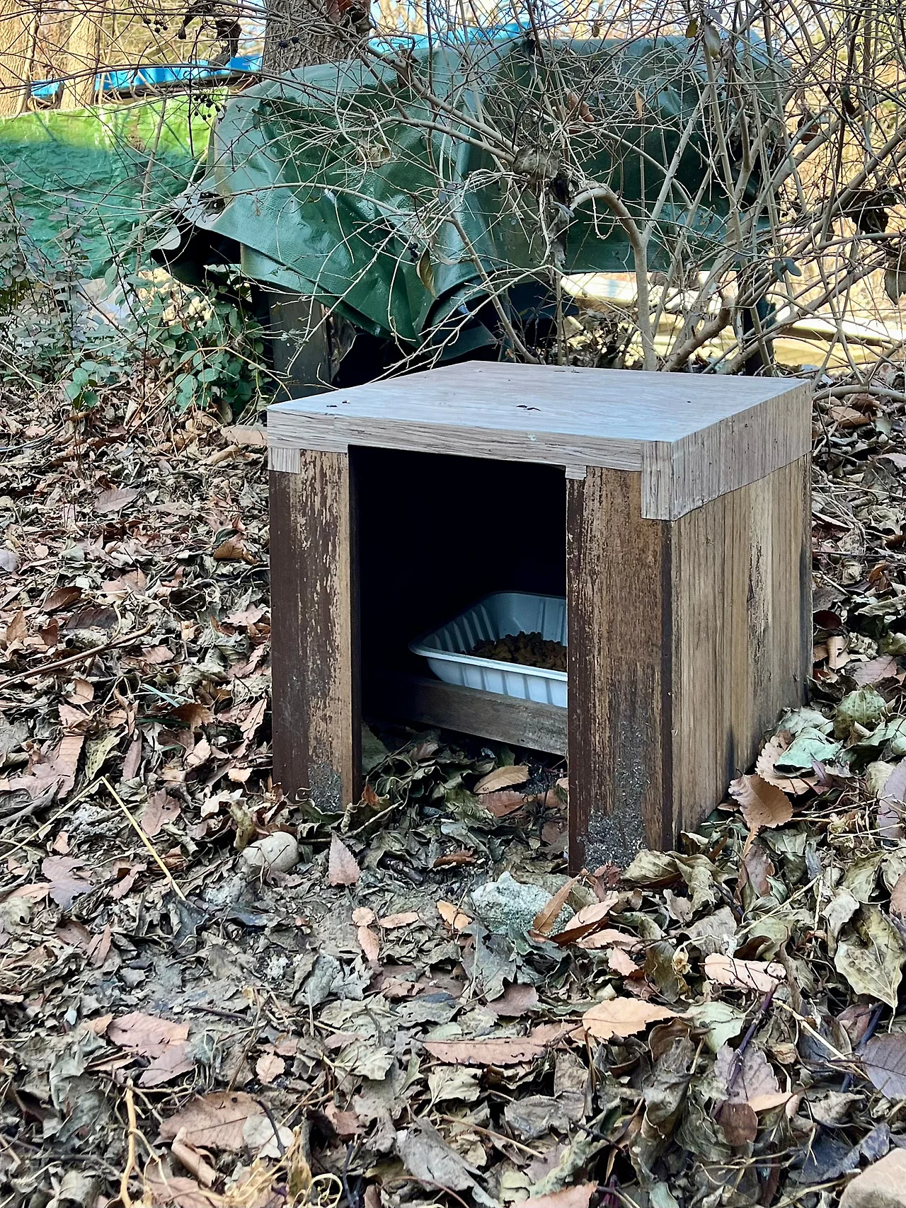 IMG%EF%BC%BF0775.jpg?type=w1600