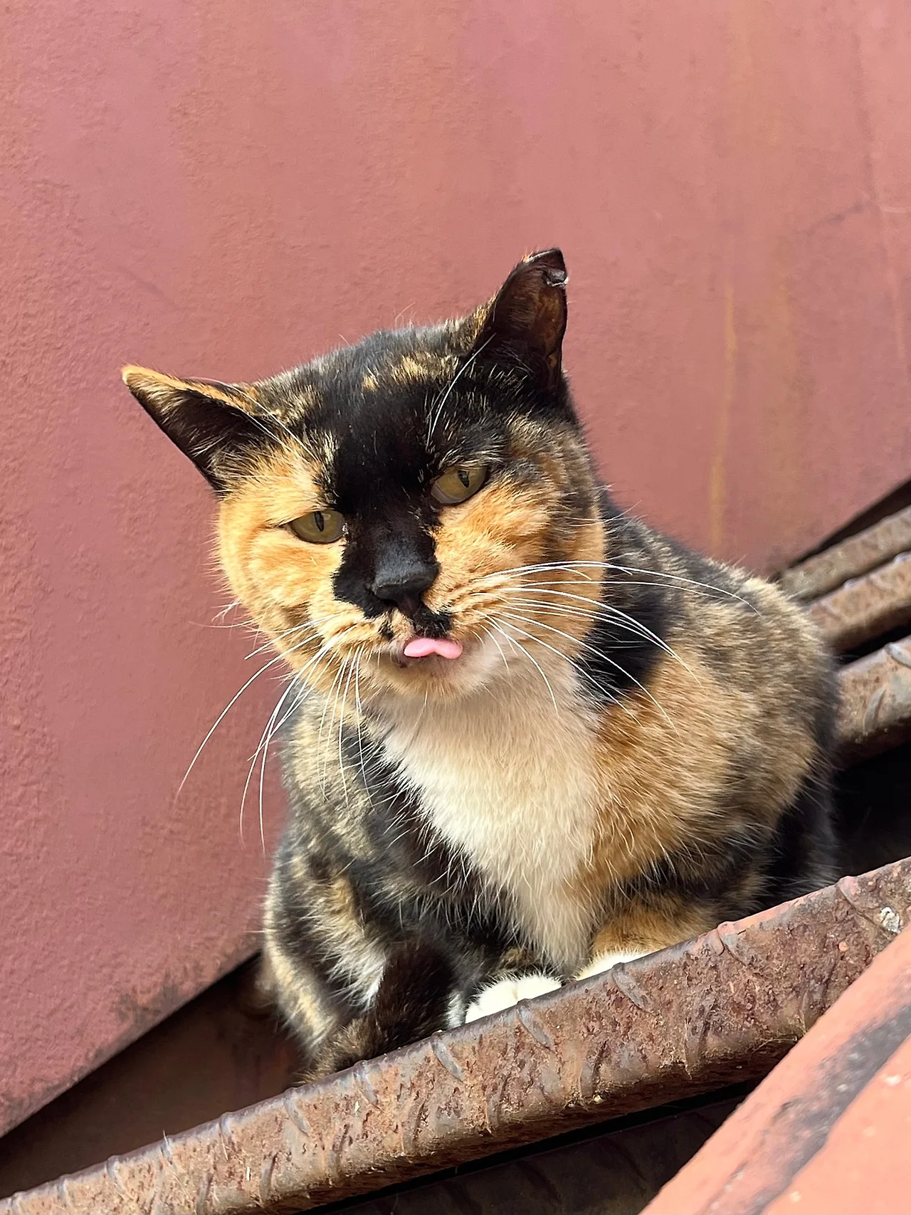 IMG%EF%BC%BF9437.jpg?type=w1600