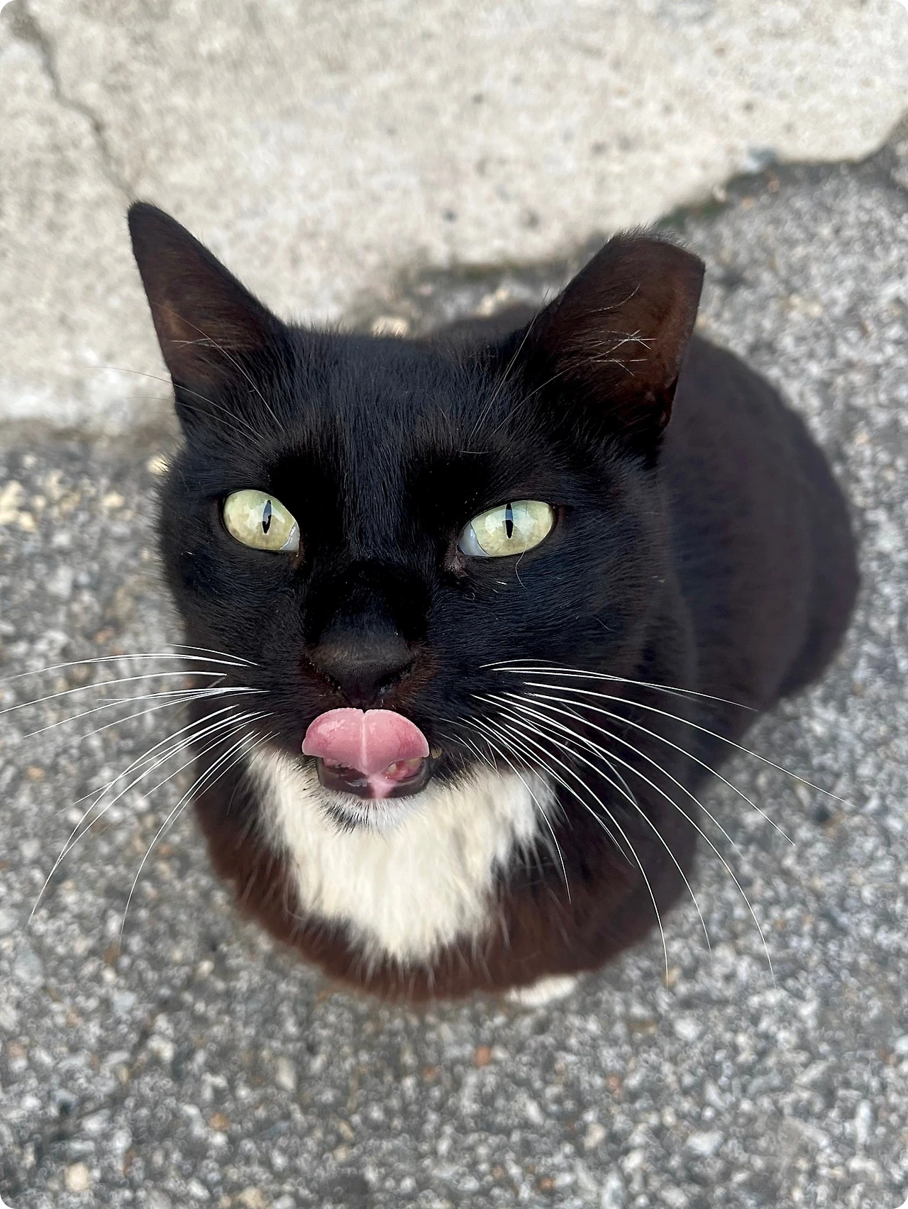 IMG_4454.jpg?type=w1600