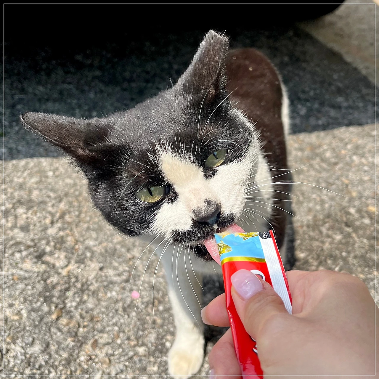 IMG_3574.jpg?type=w1600