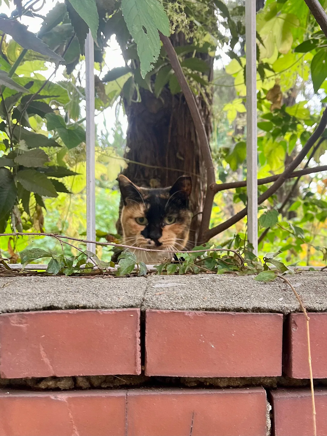 IMG%EF%BC%BF4266.jpg?type=w1600