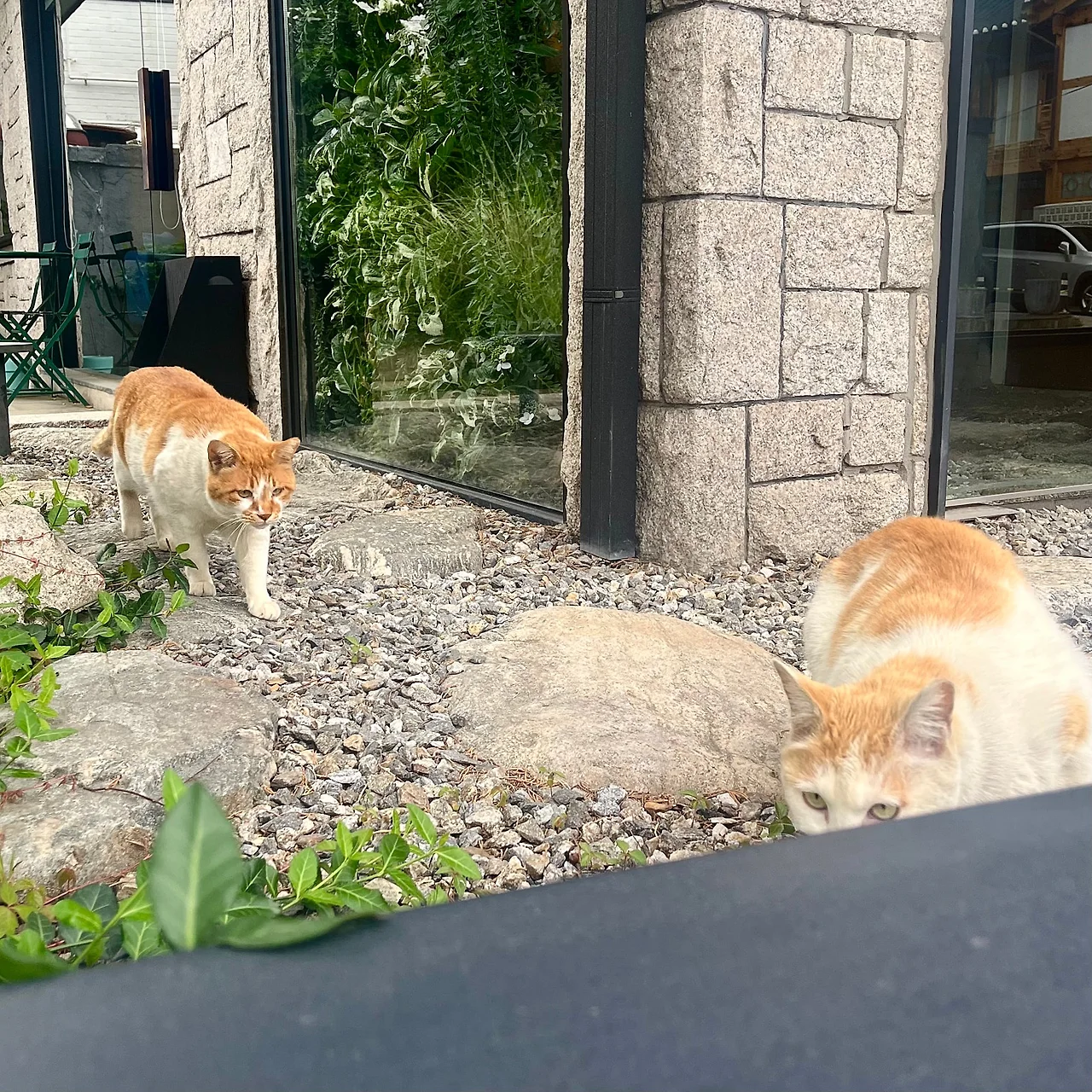 IMG_4693.jpg?type=w1600