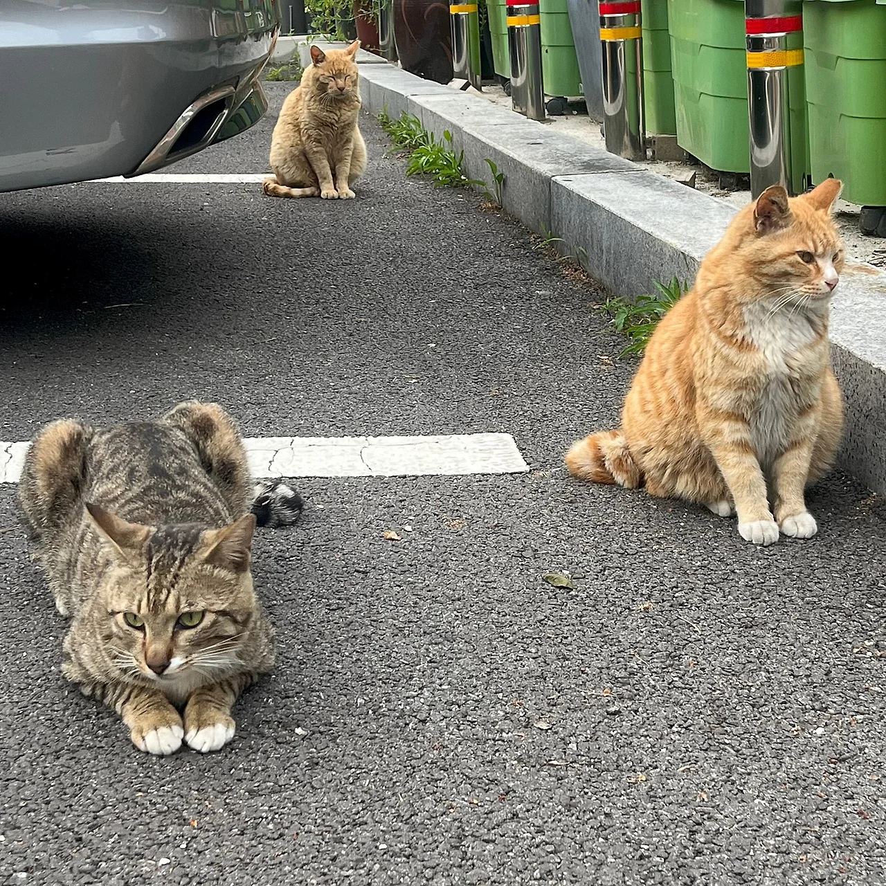 IMG%EF%BC%BF4249.jpg?type=w1600