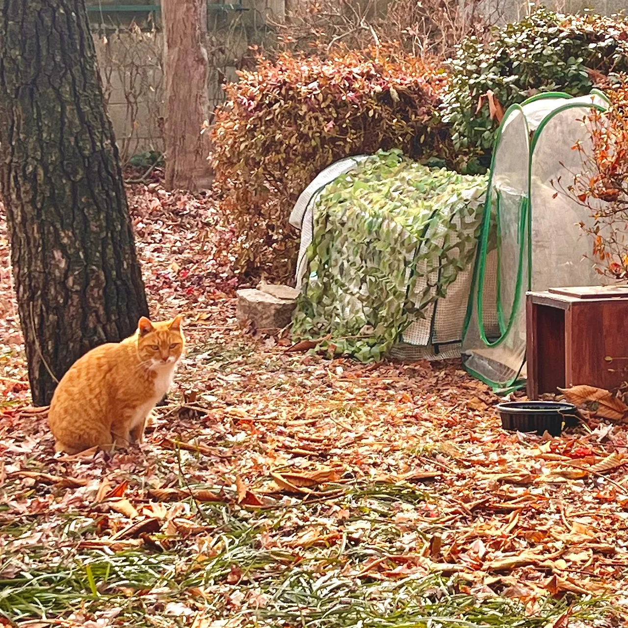 IMG%EF%BC%BF9905.jpg?type=w1600