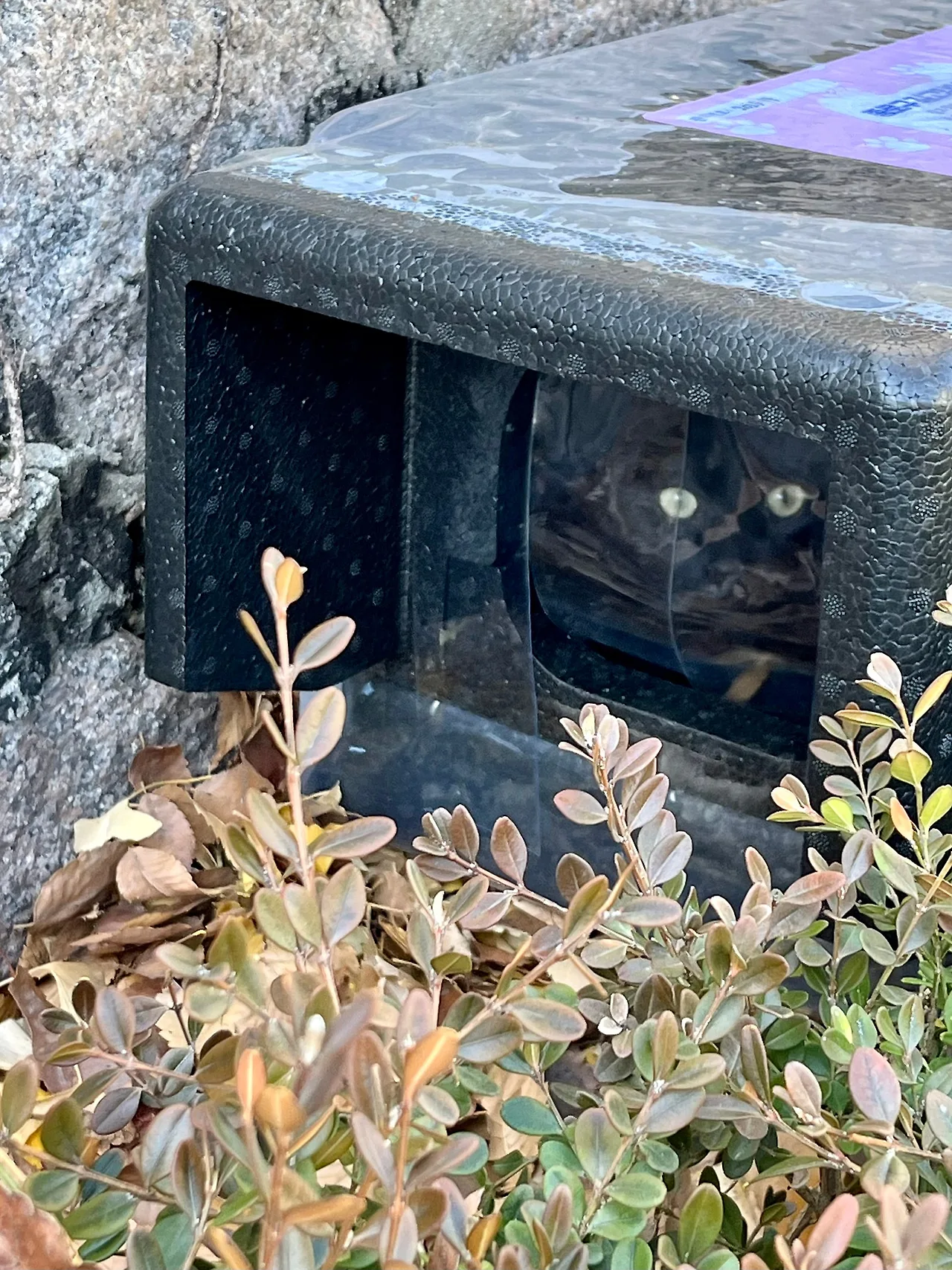 IMG%EF%BC%BF9971.jpg?type=w1600